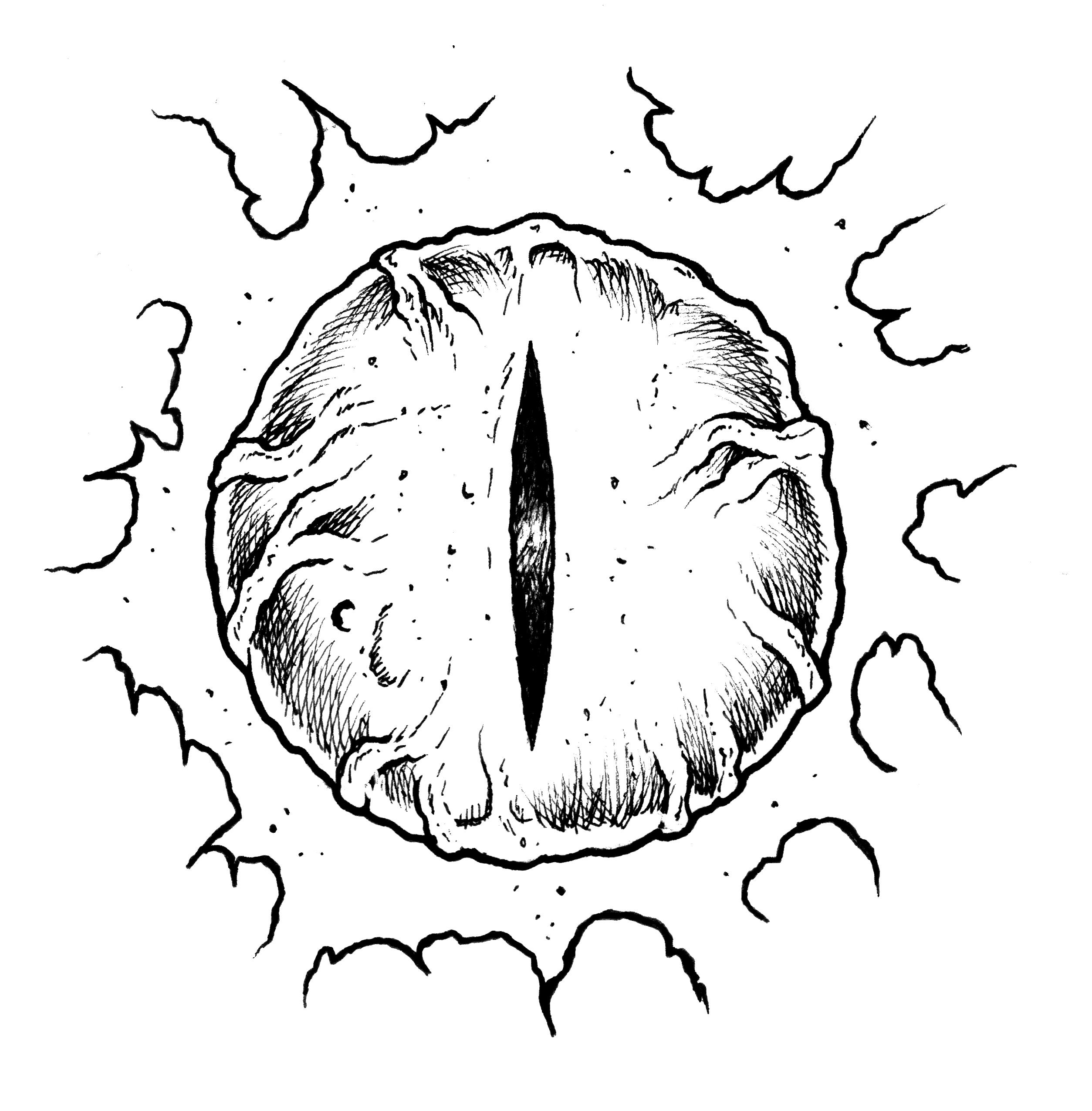 user avatar image for Alex T.