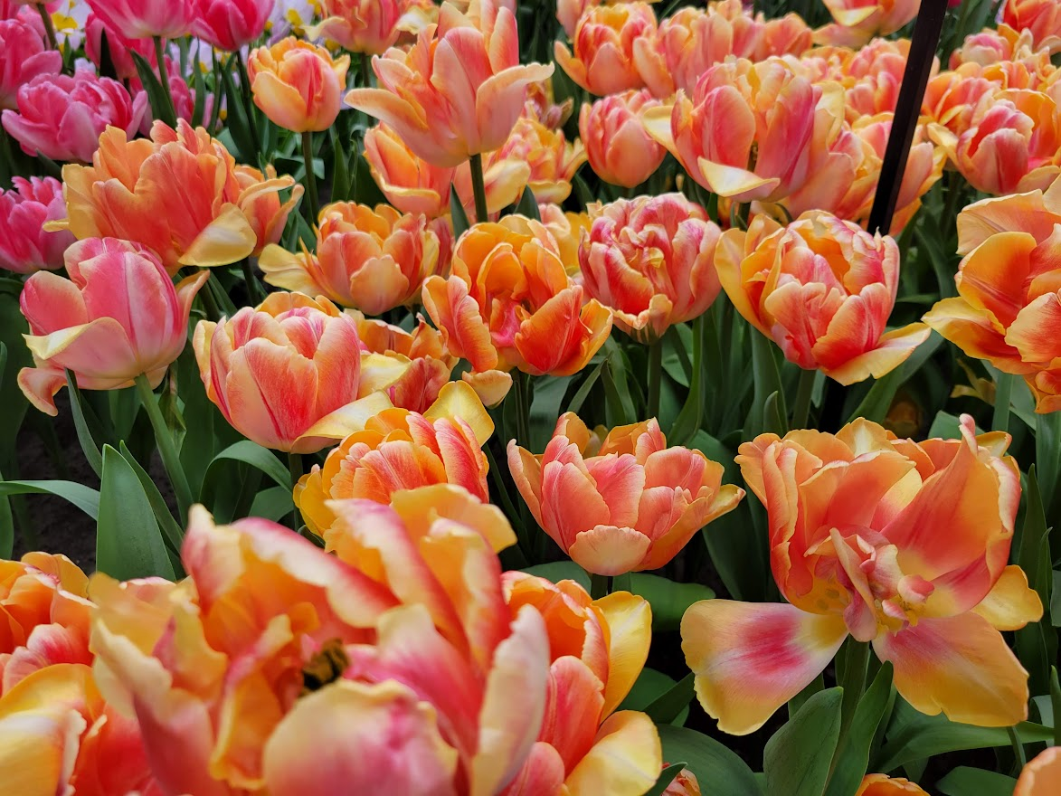 user avatar image for Megan