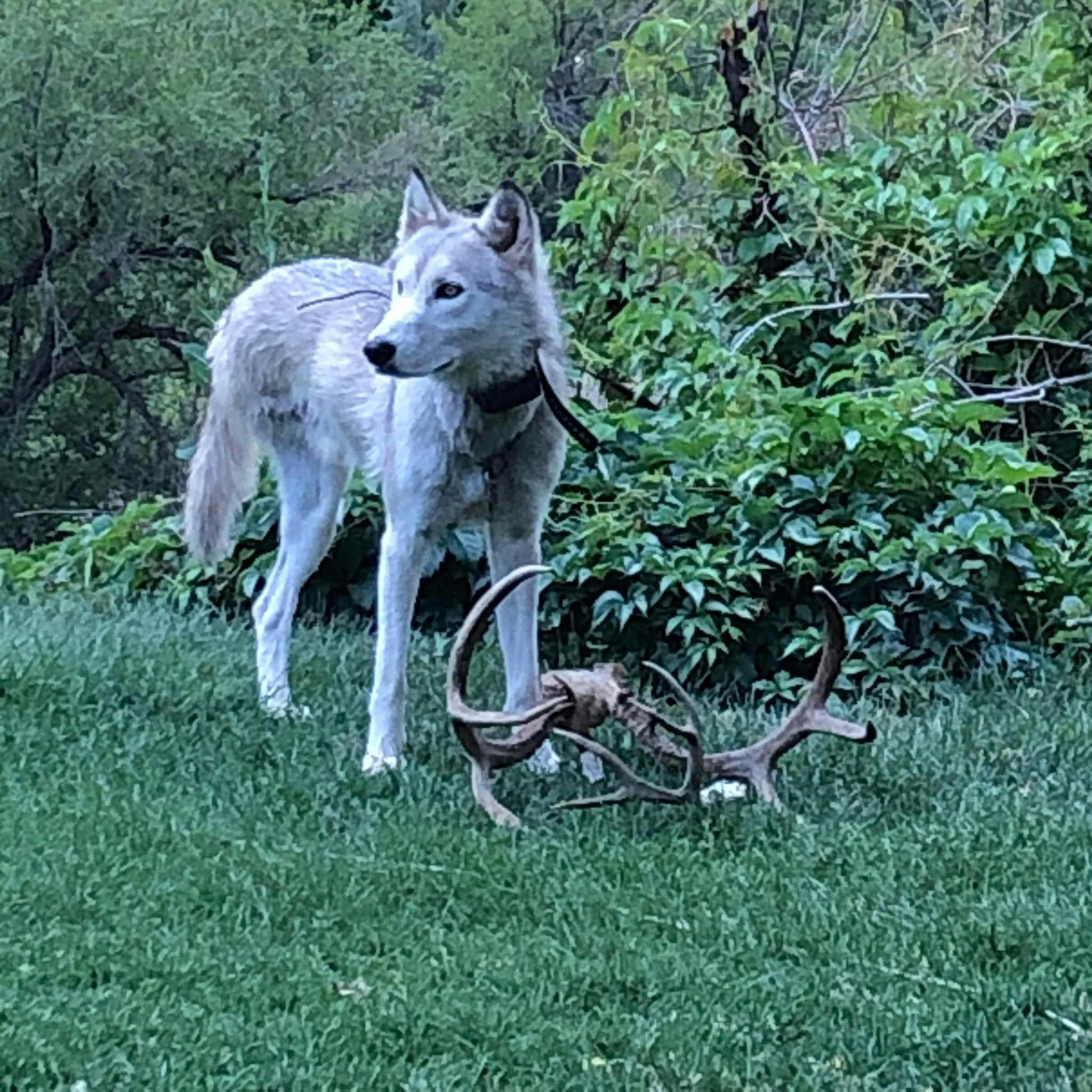 user avatar image for Mitsy Docter