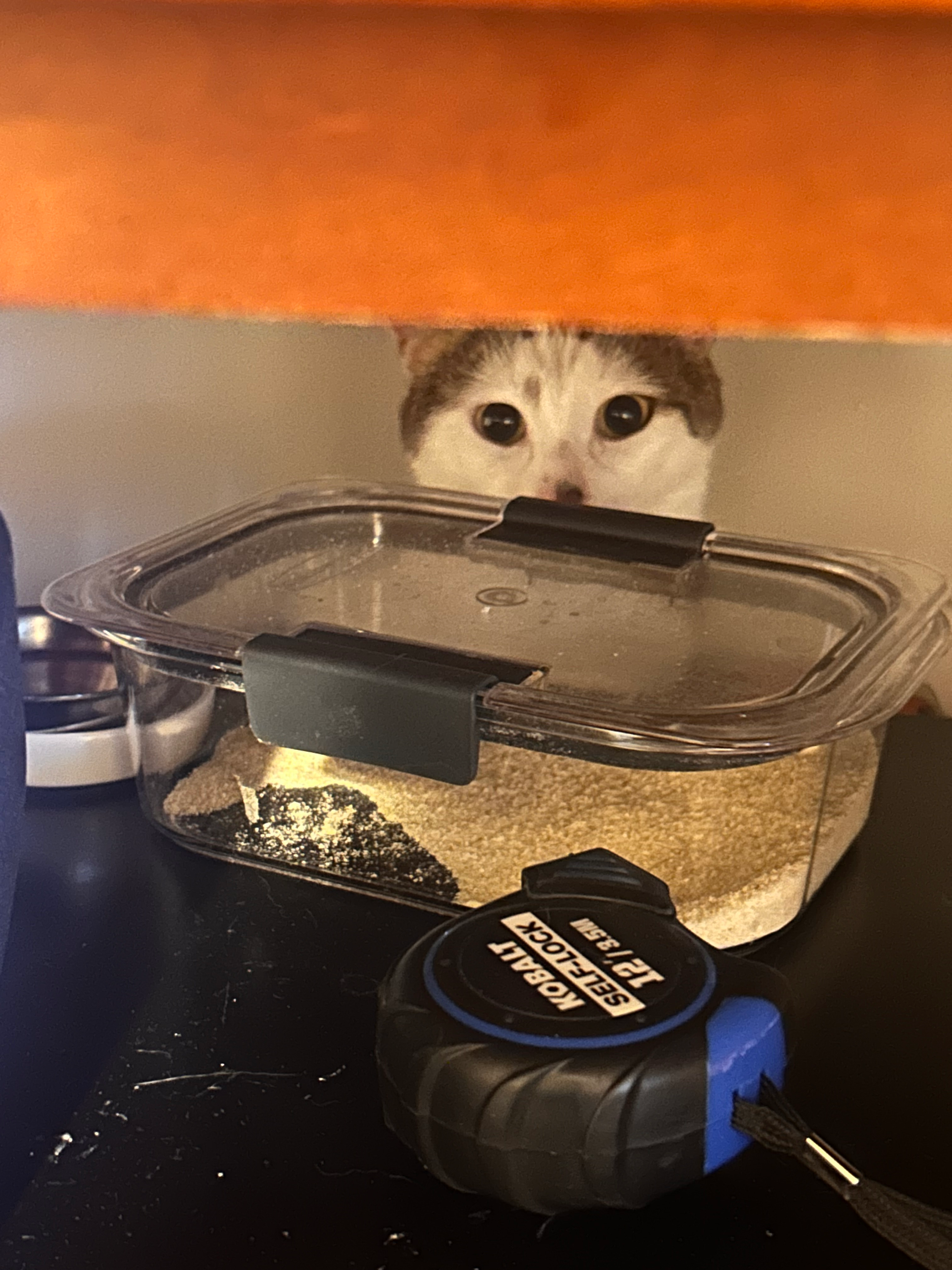 user avatar image for Nyx