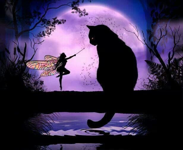 user avatar image for Isika