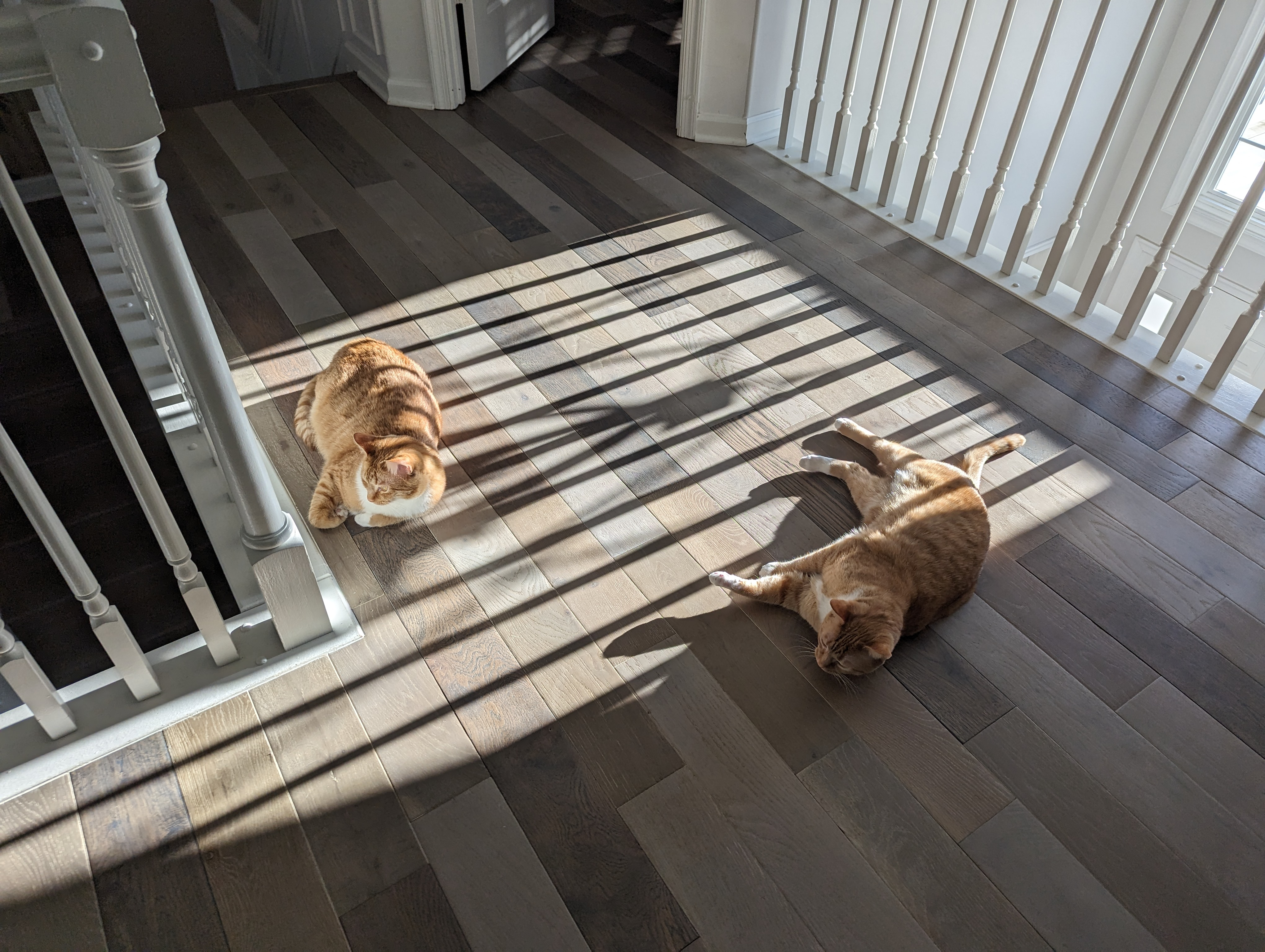 user avatar image for Vtpirate