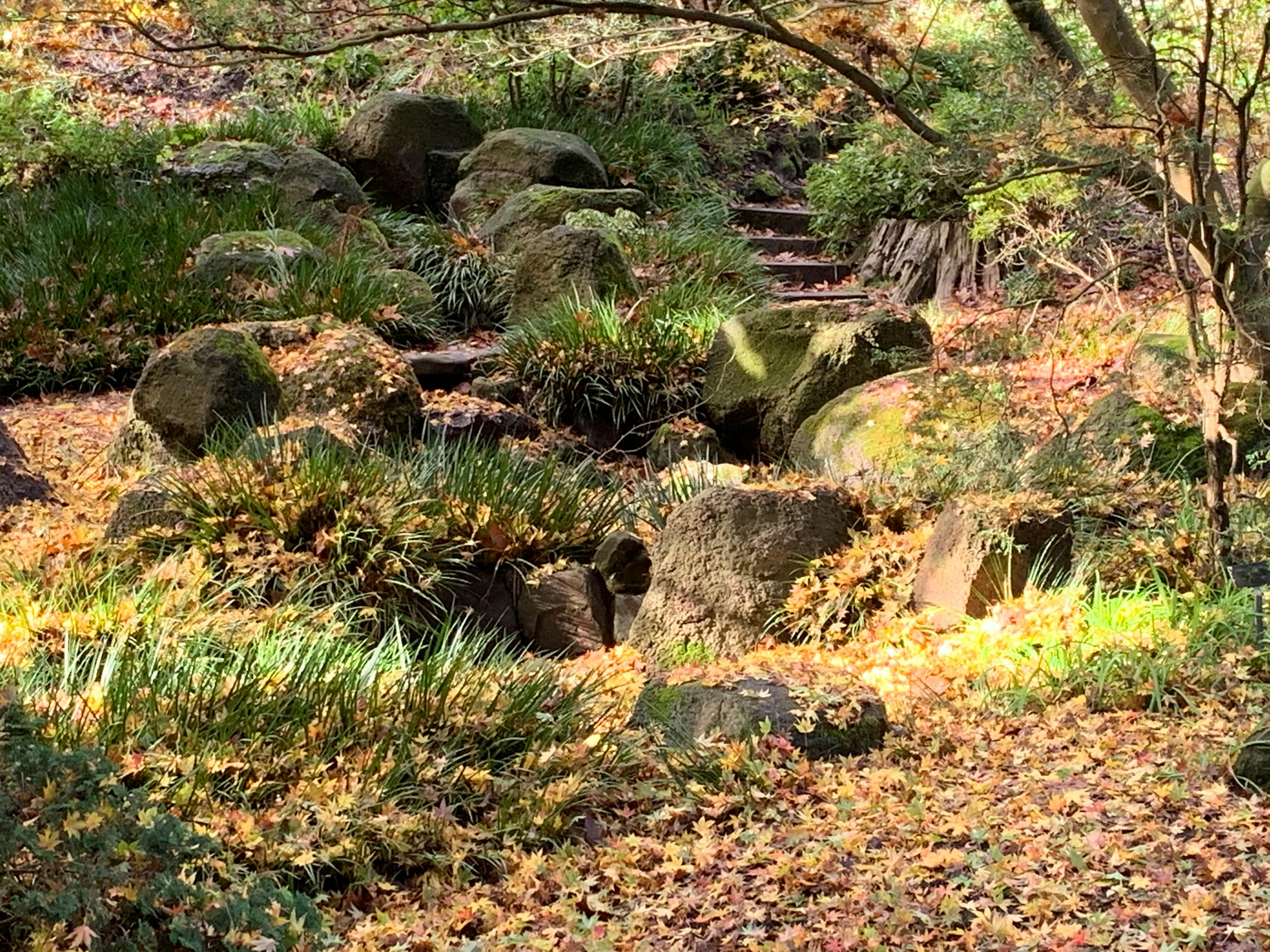 user avatar image for Amberle