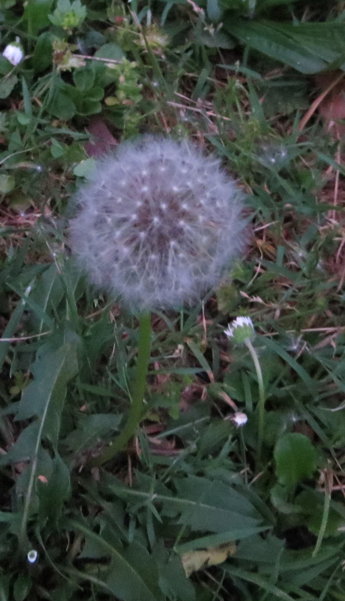 user avatar image for Marilyn