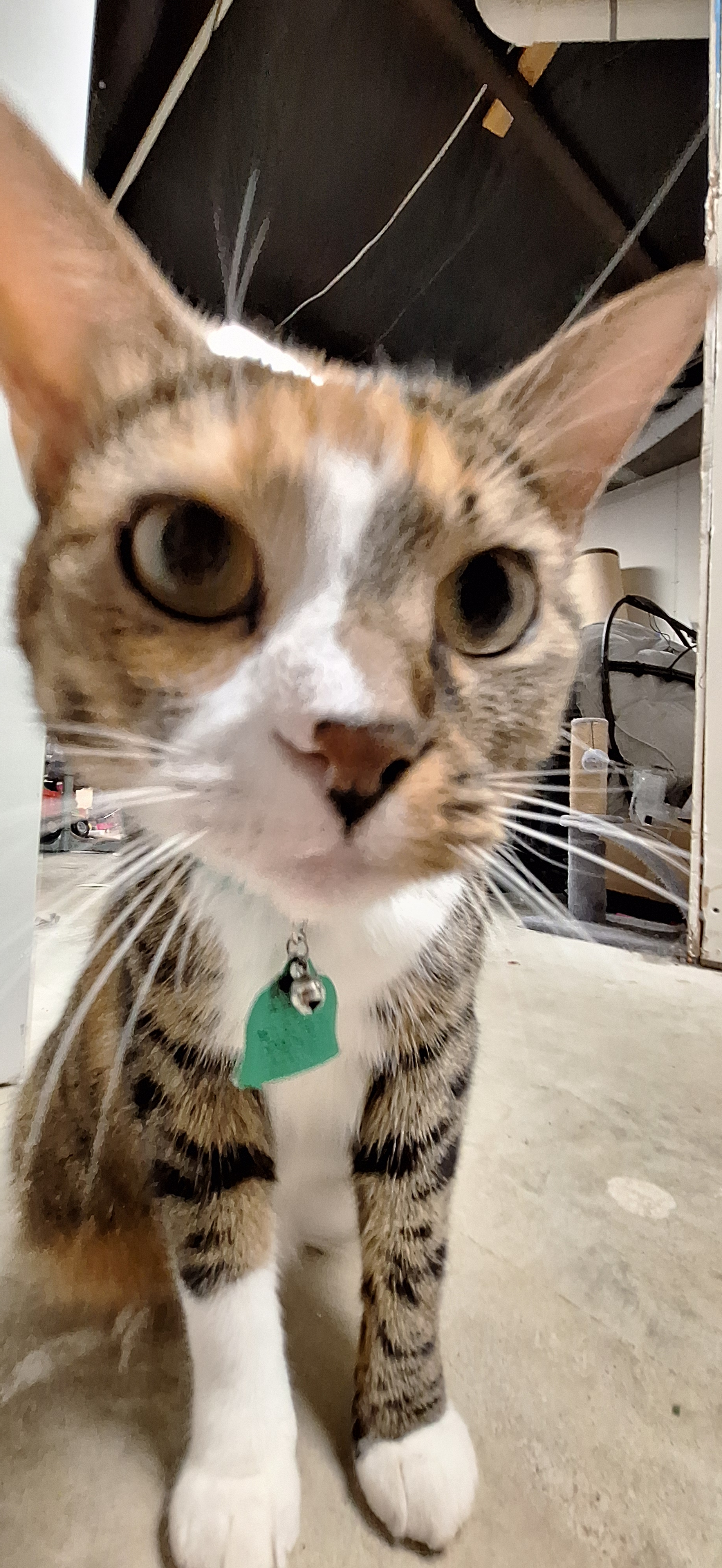 user avatar image for Kai Dunya