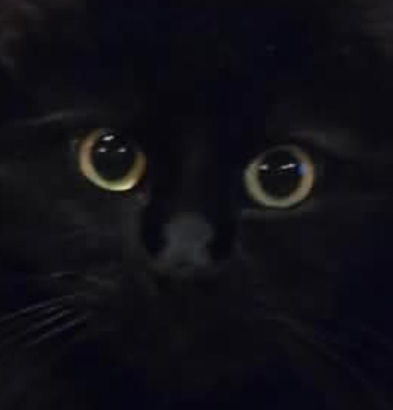 user avatar image for AnihcNiedam