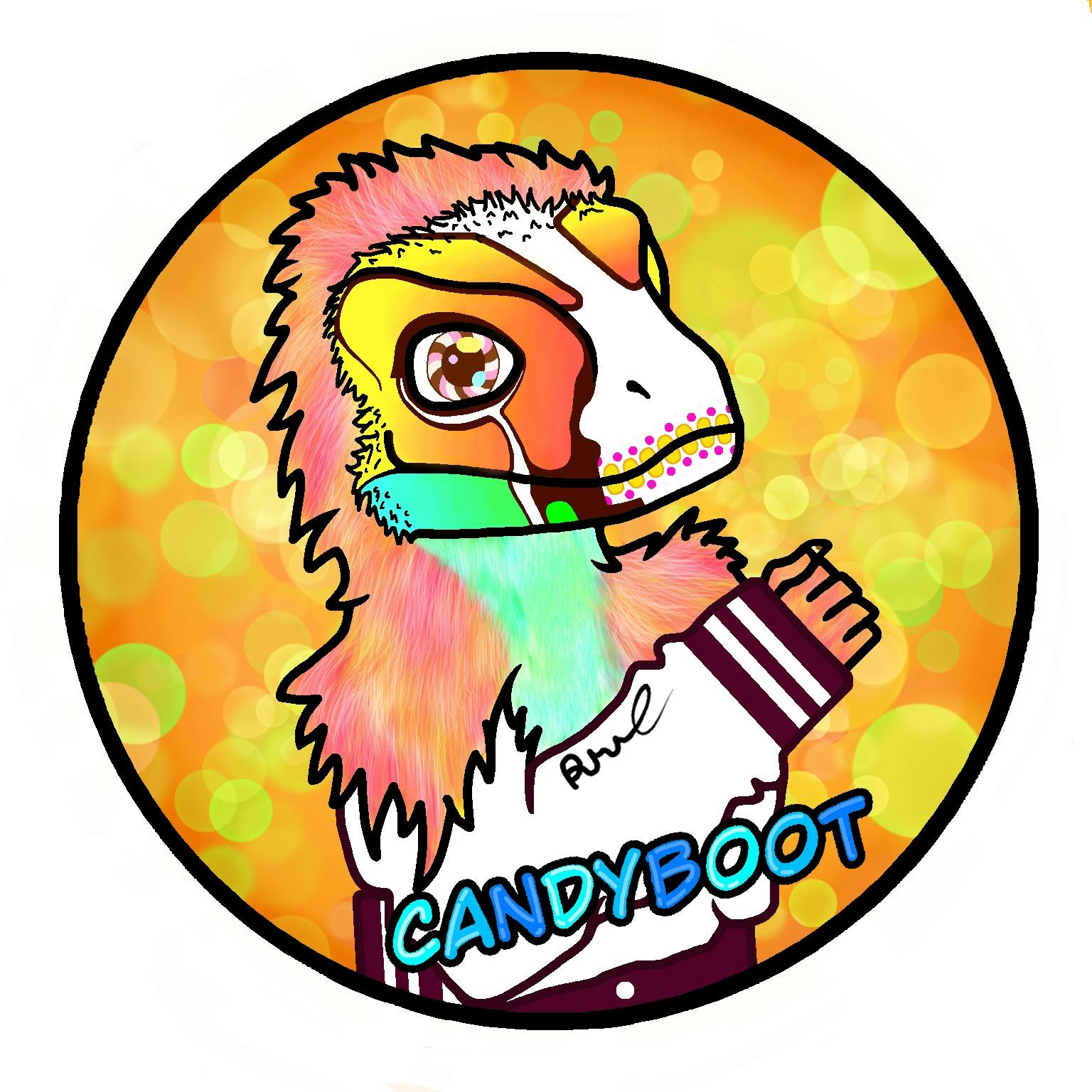 user avatar image for CandyBoot