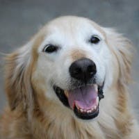 user avatar image for Aleksei