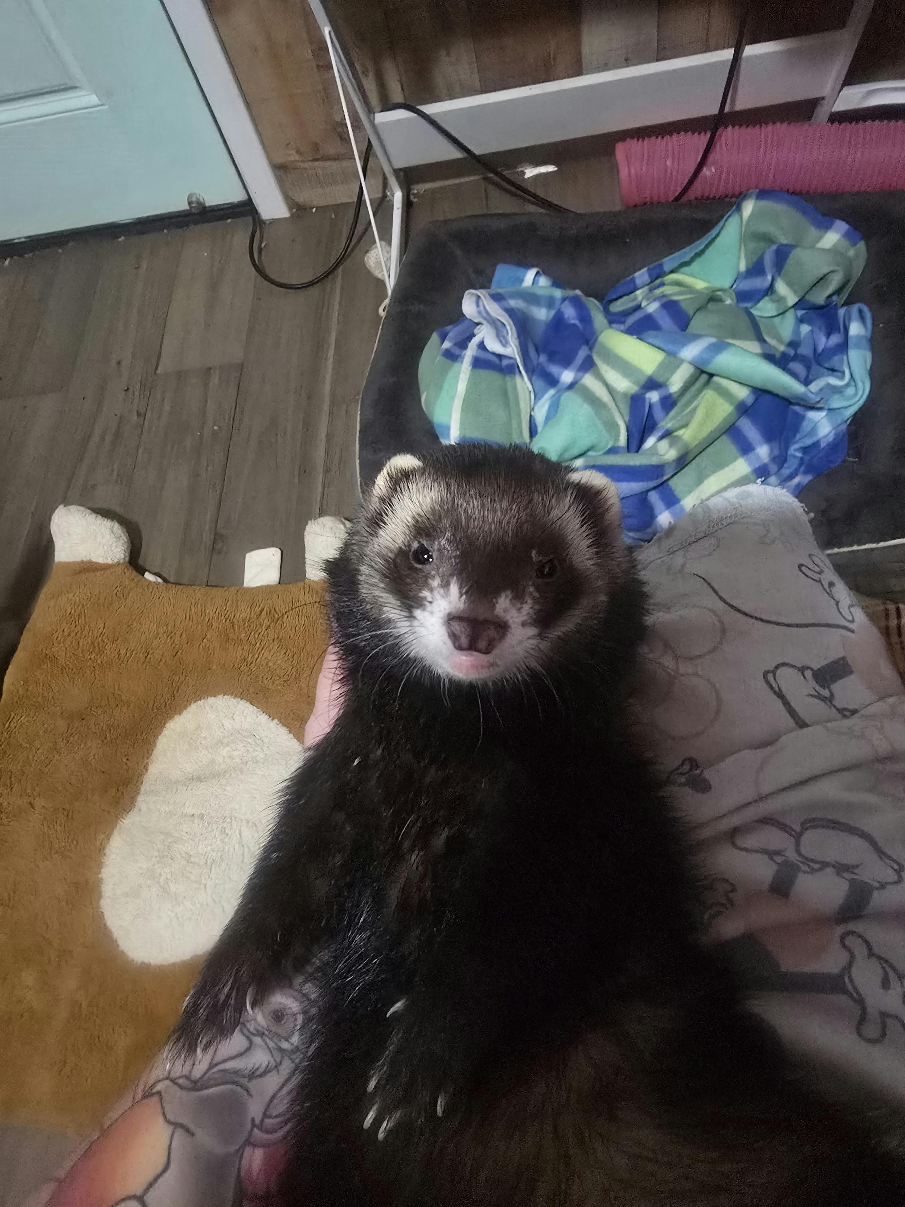 user avatar image for Lycoris