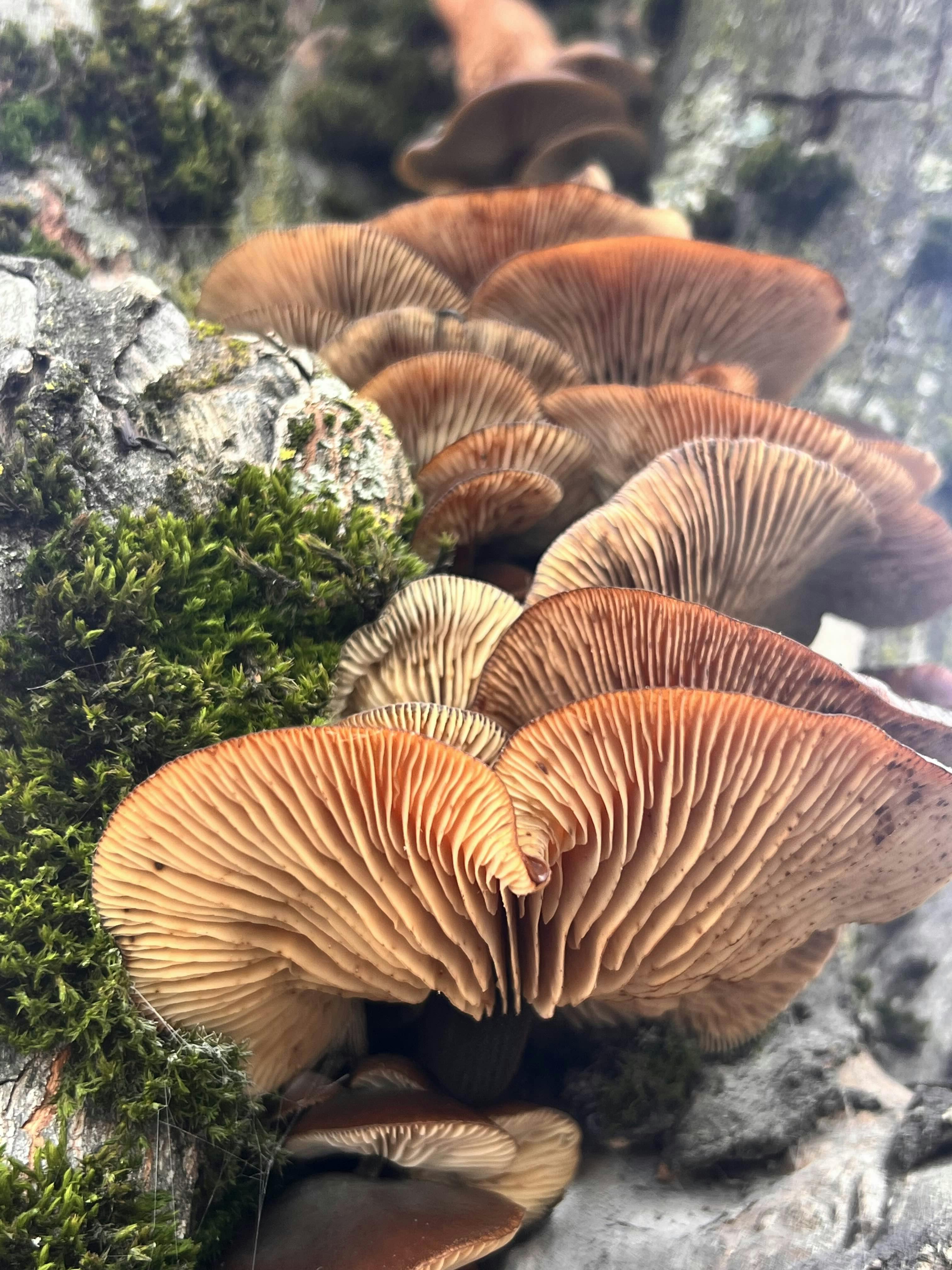 user avatar image for Cecil