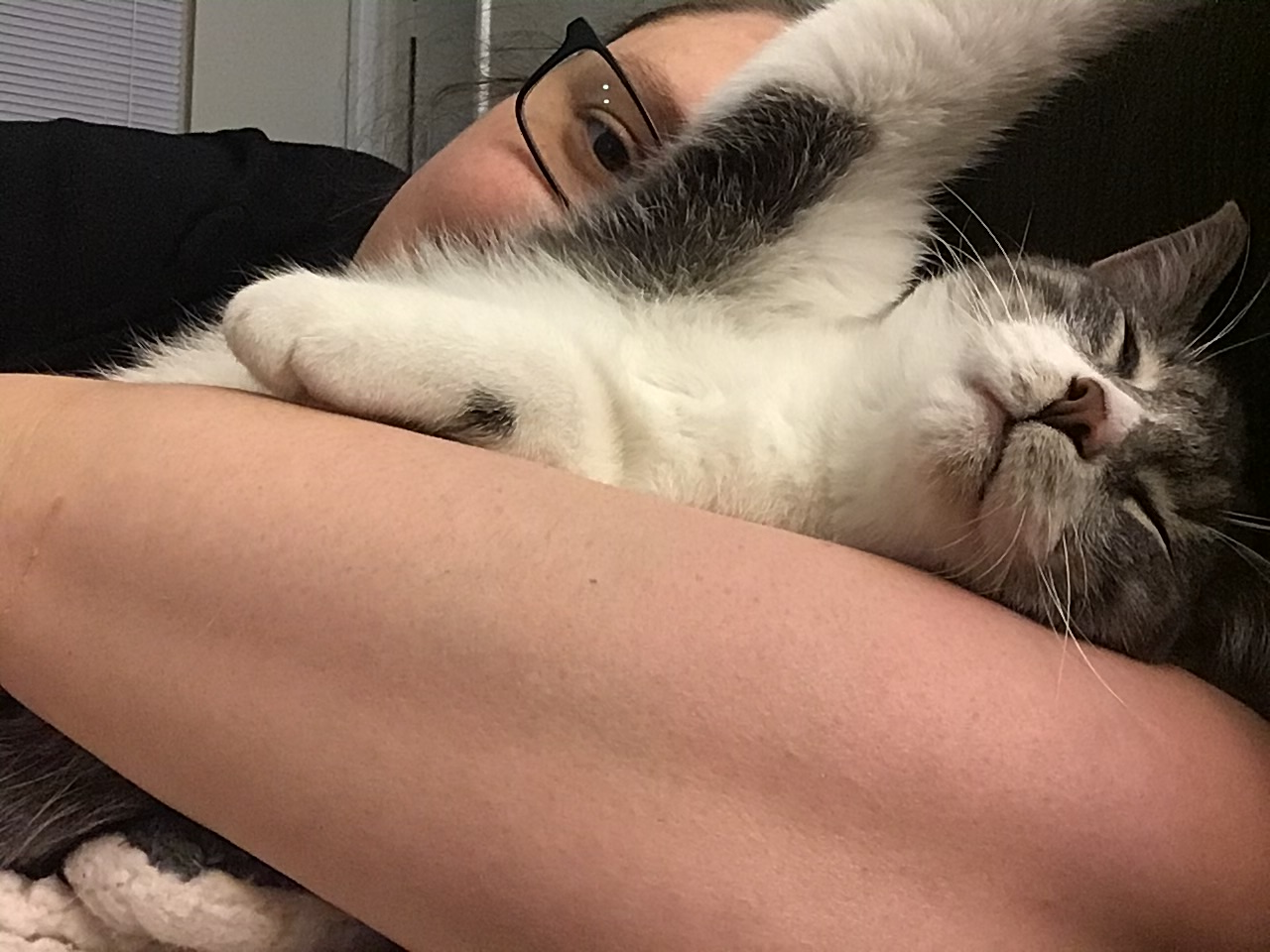 user avatar image for Allison