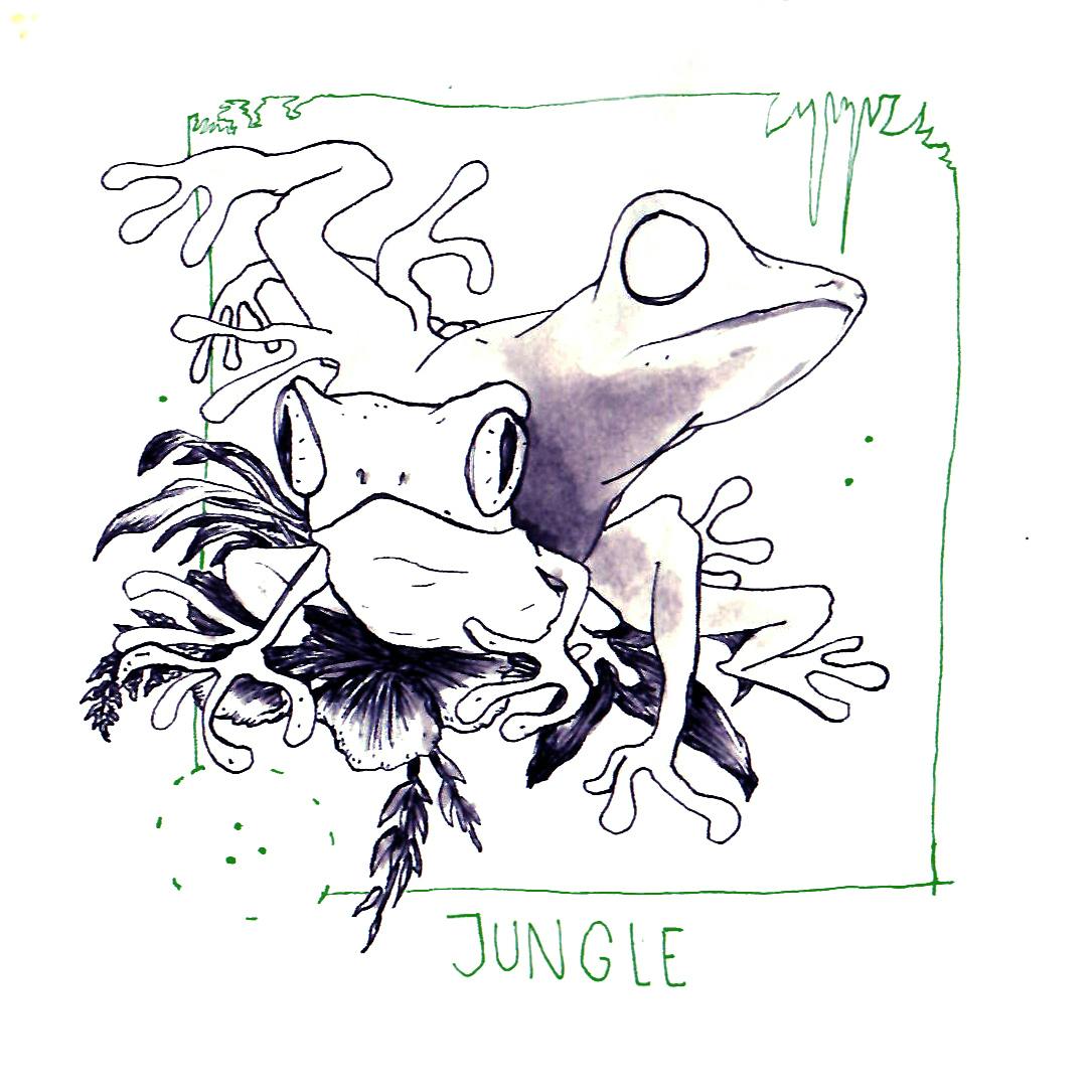 user avatar image for An Anonymous Bluejay #857588