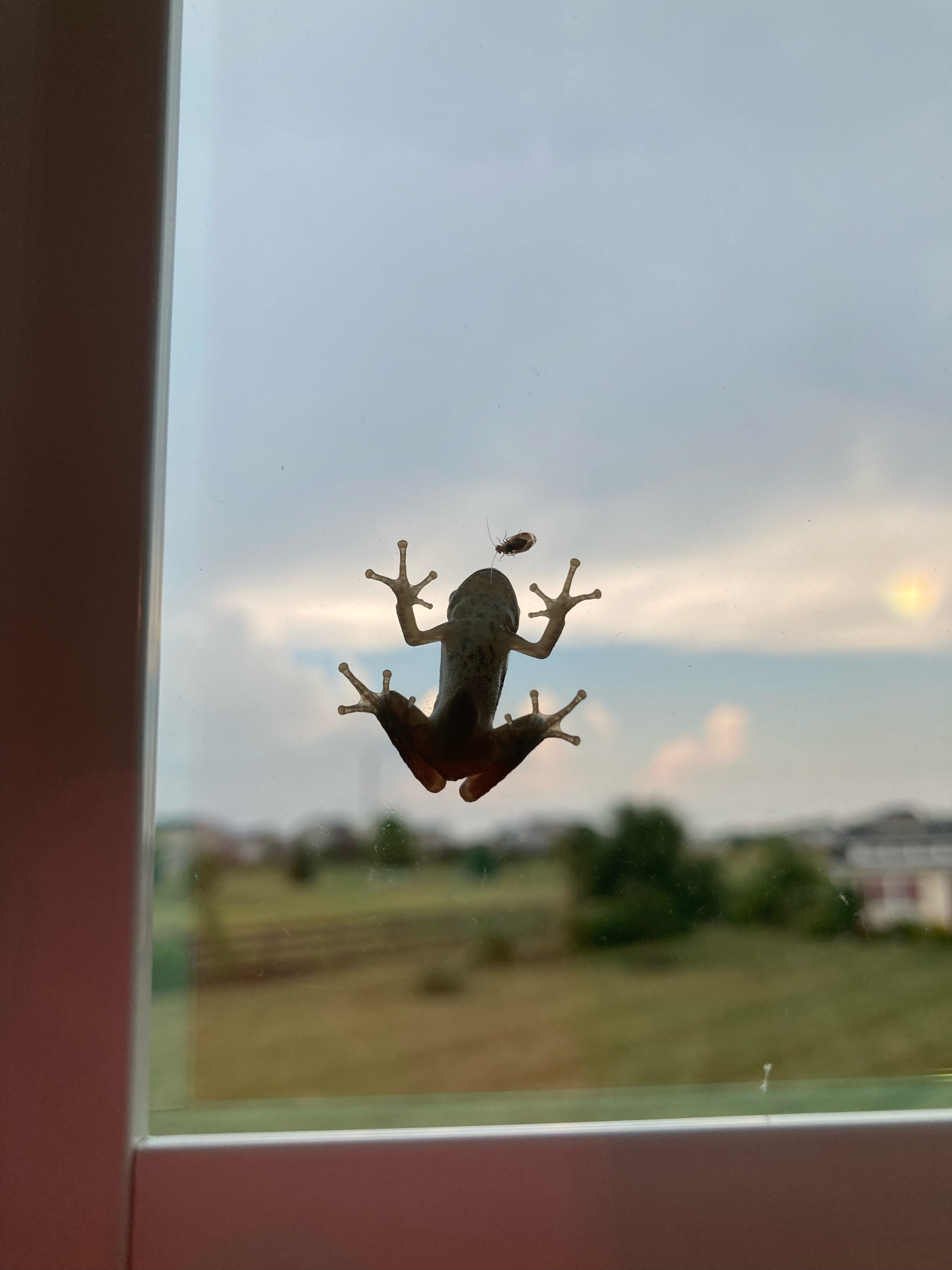 user avatar image for Charoes