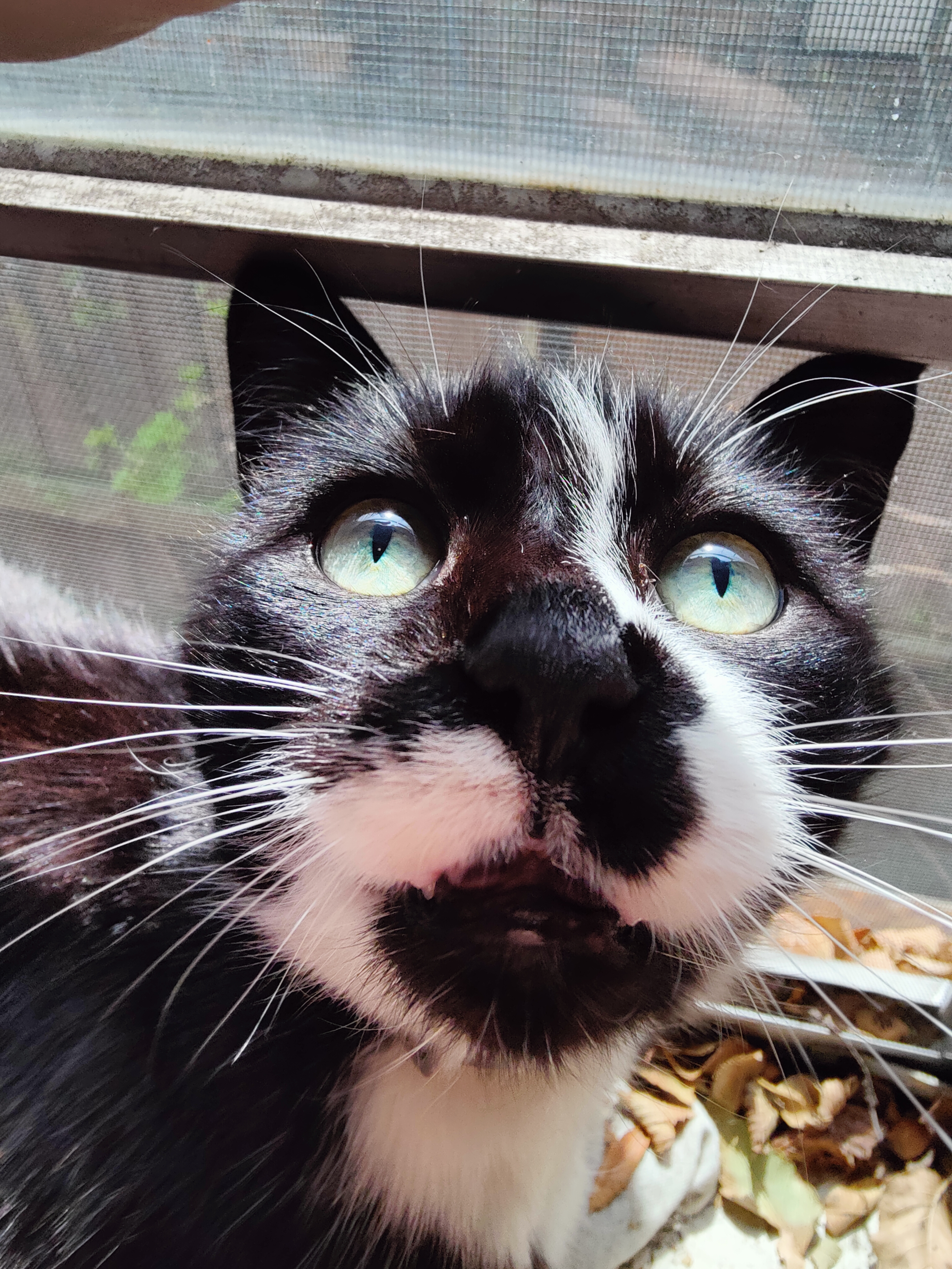 user avatar image for Amber O'Brien 