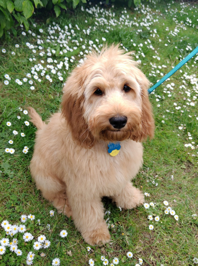 user avatar image for Happyflower89