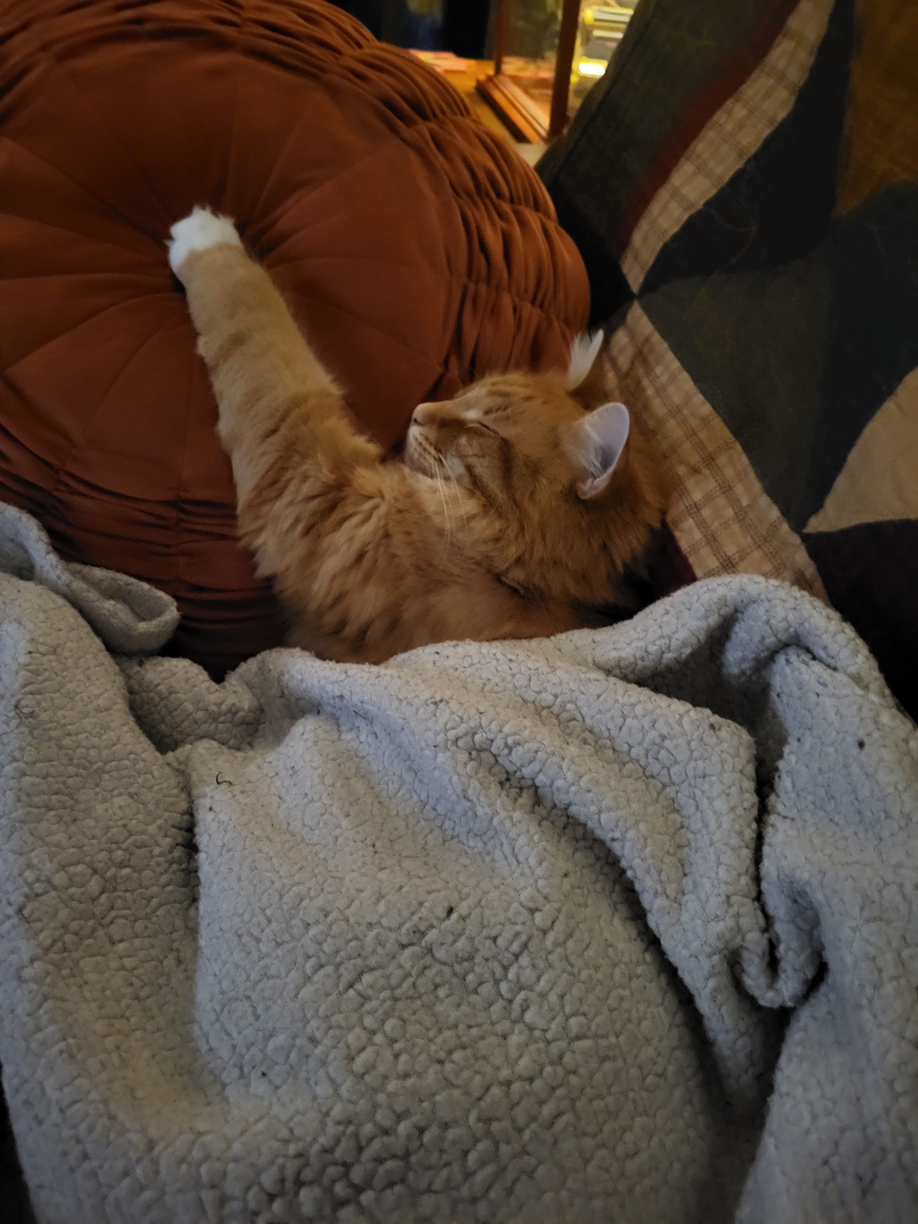 user avatar image for Sarahmouse123 