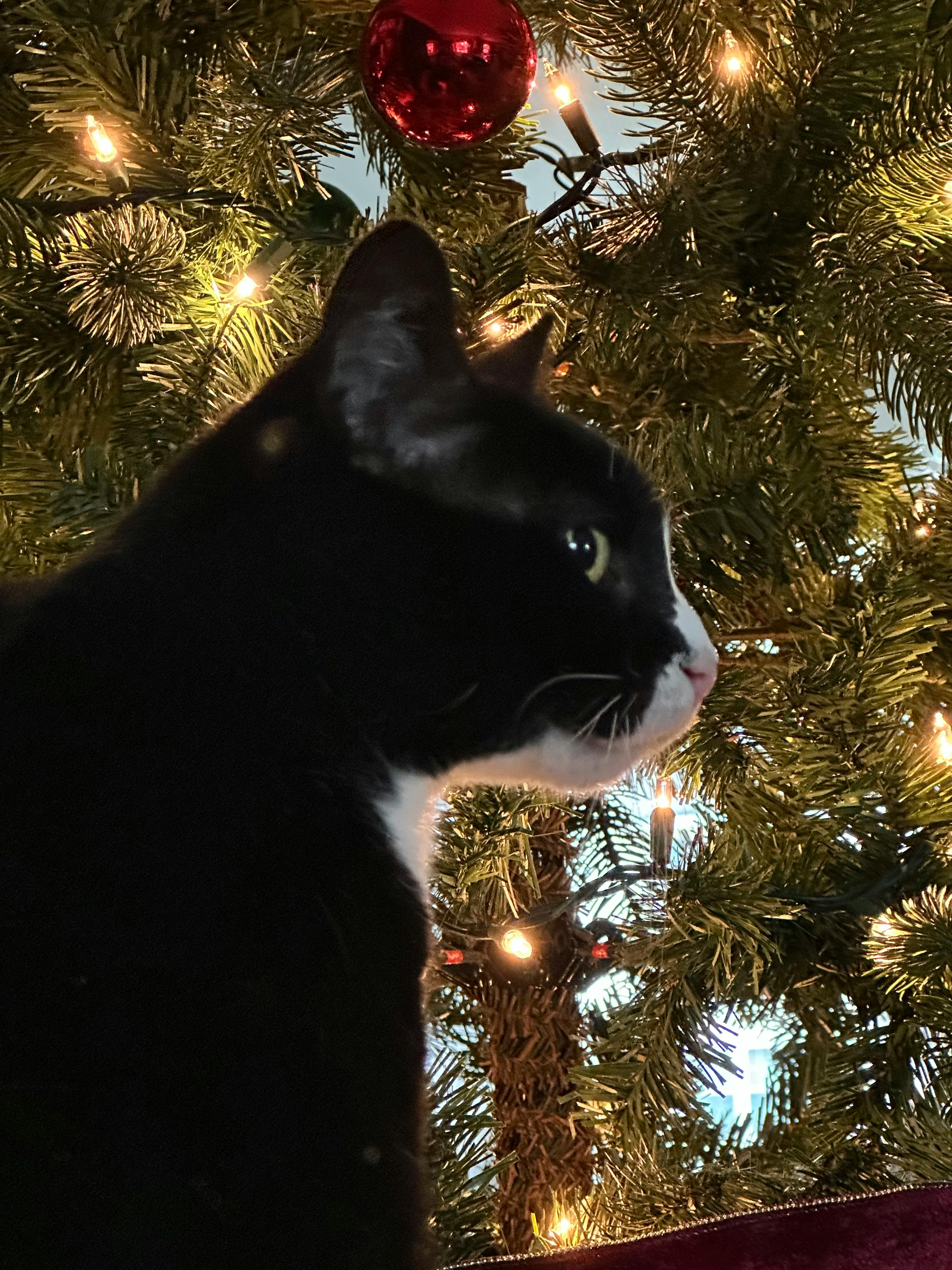 user avatar image for Stephanie Norris