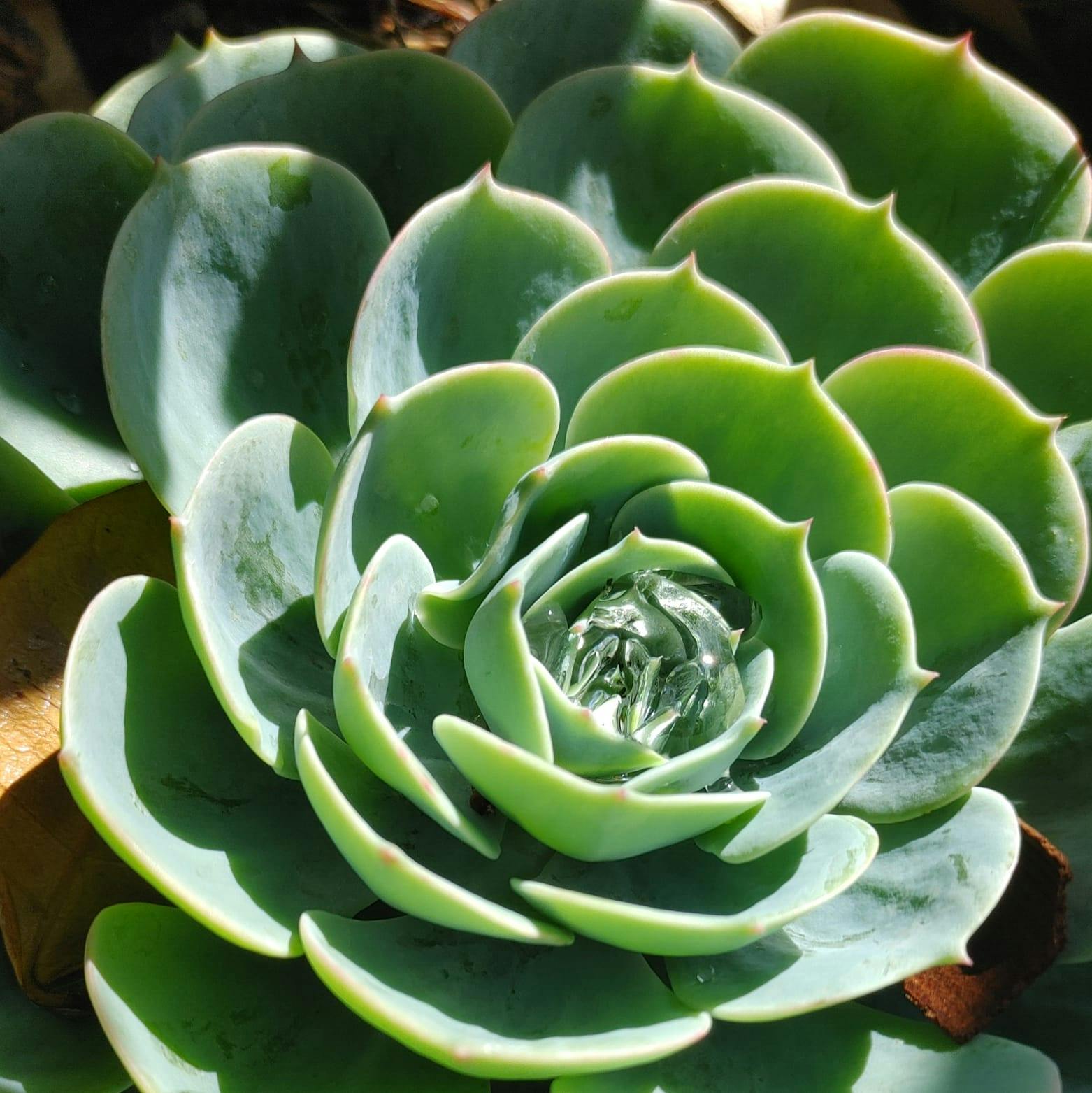 user avatar image for dagsy