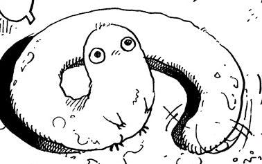 user avatar image for Scott