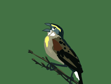 user avatar image for Zach