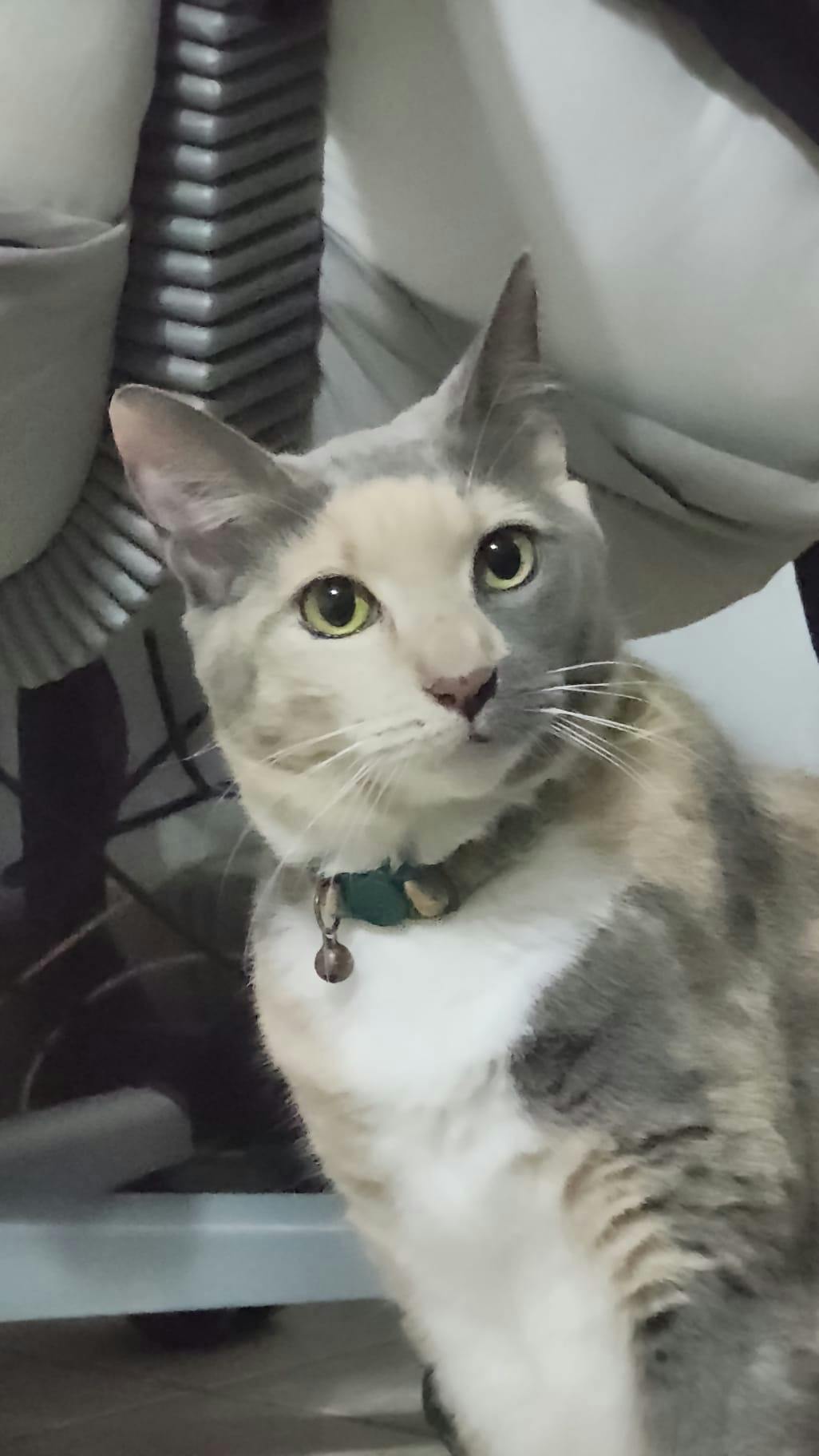 user avatar image for Eliane Soto-Martis