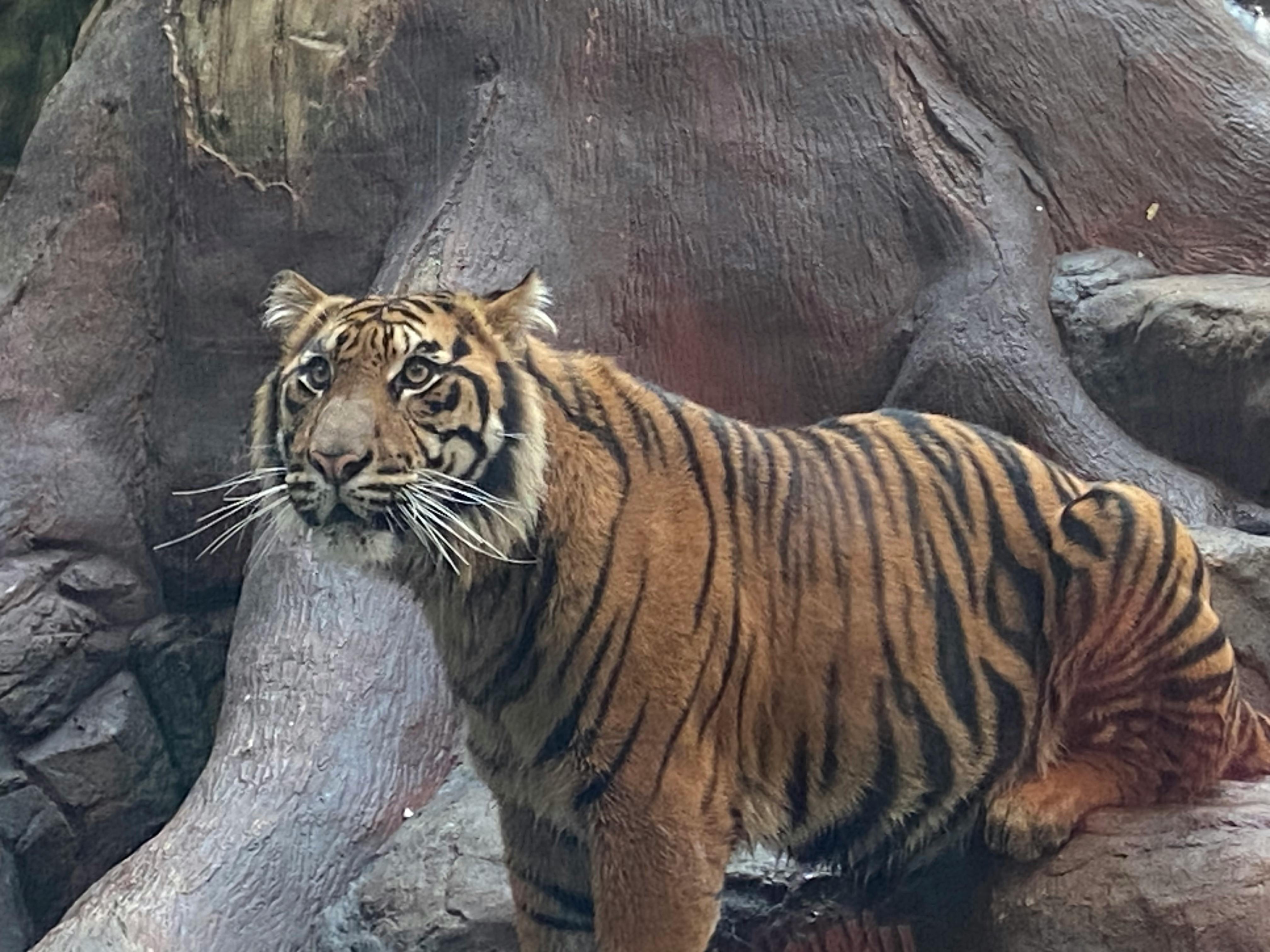 user avatar image for redpepperink 