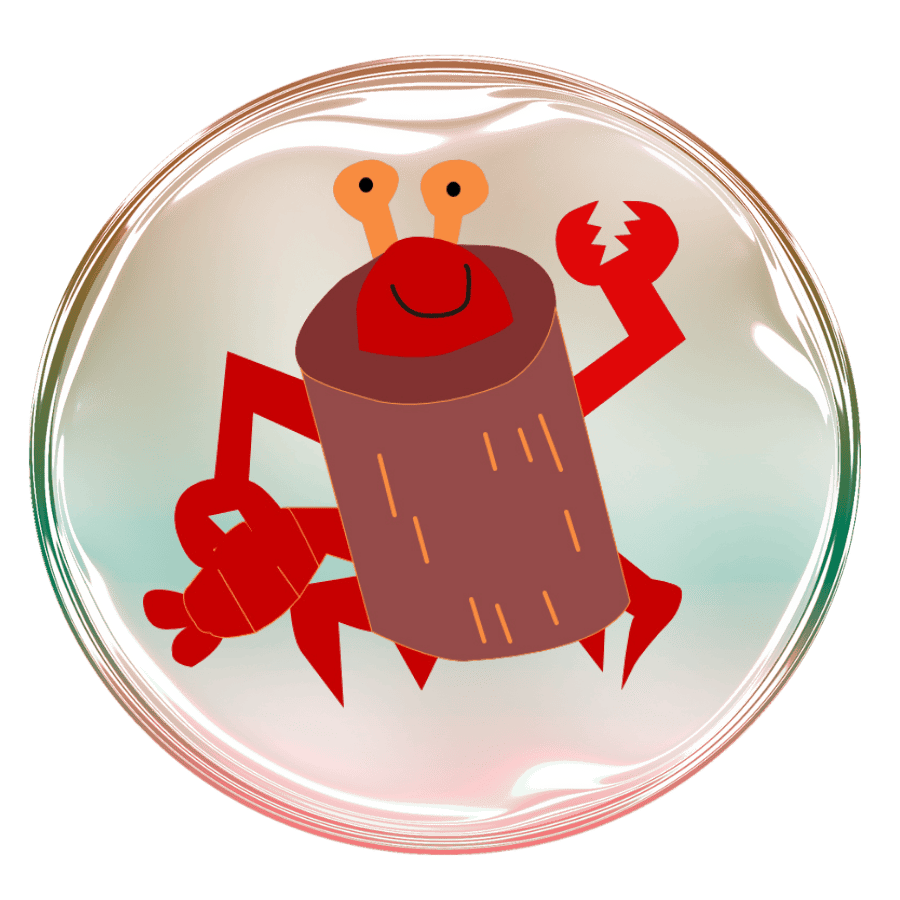 With Bubble (example)