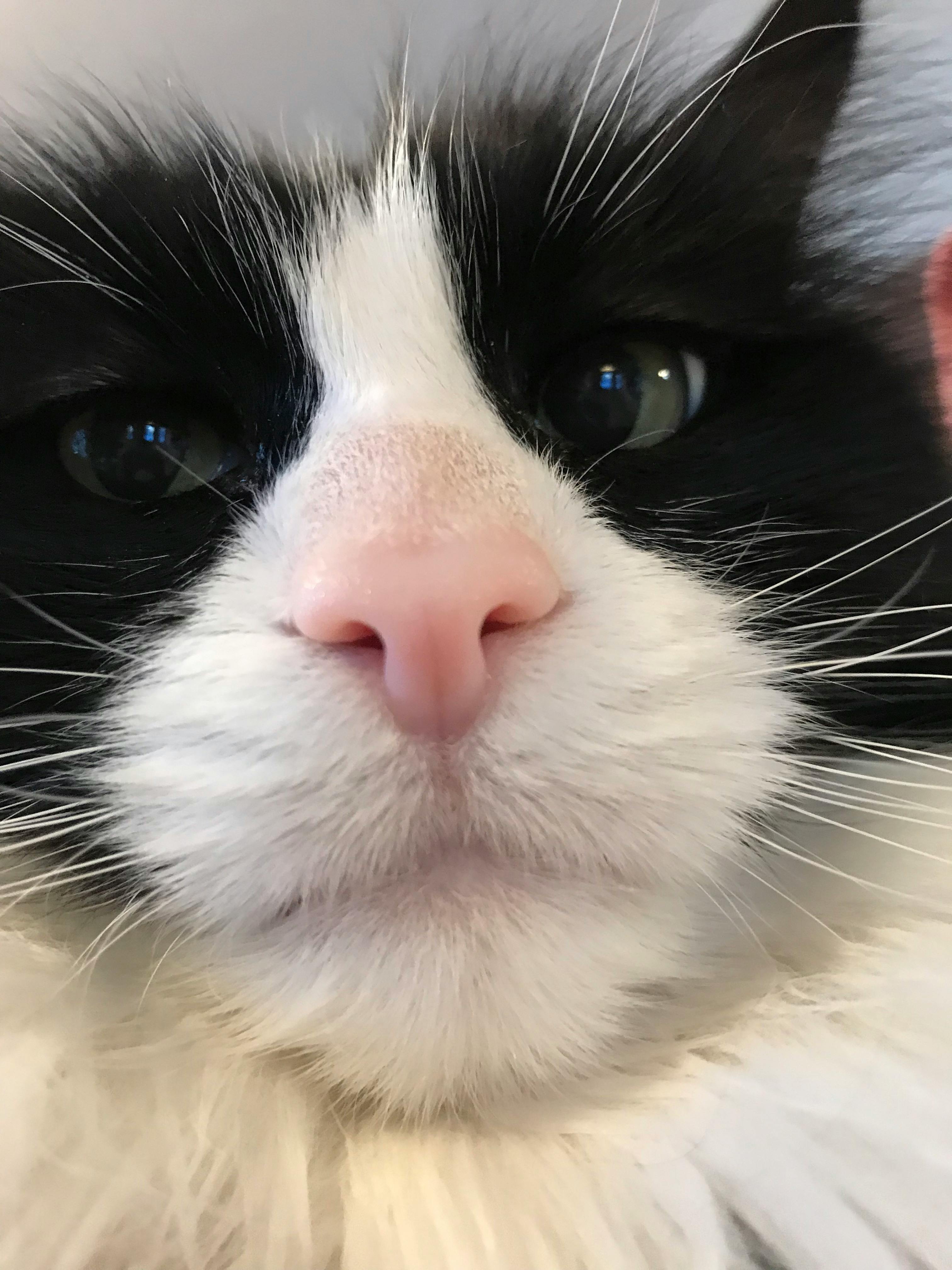 user avatar image for Belrix