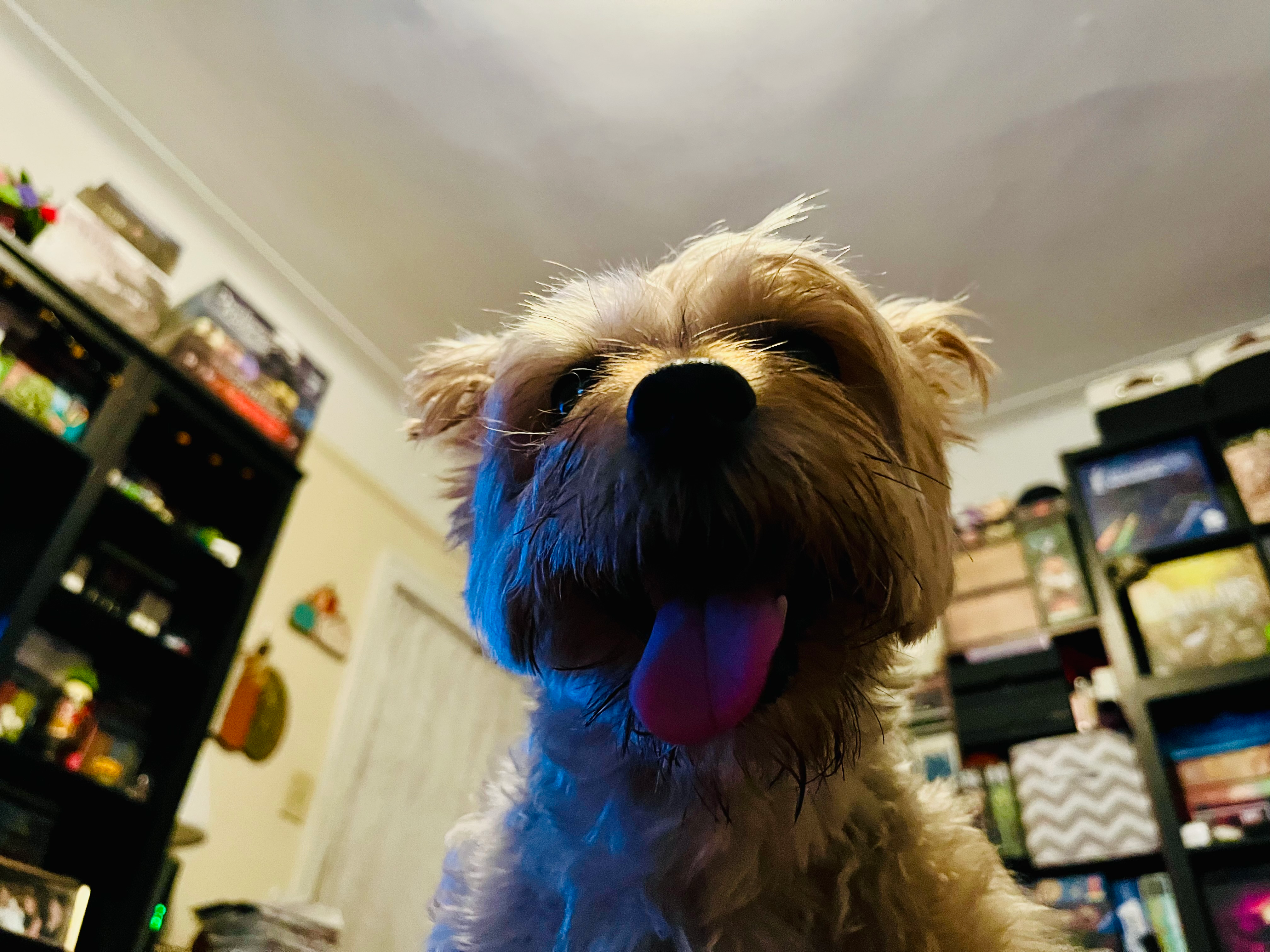 user avatar image for Jenn