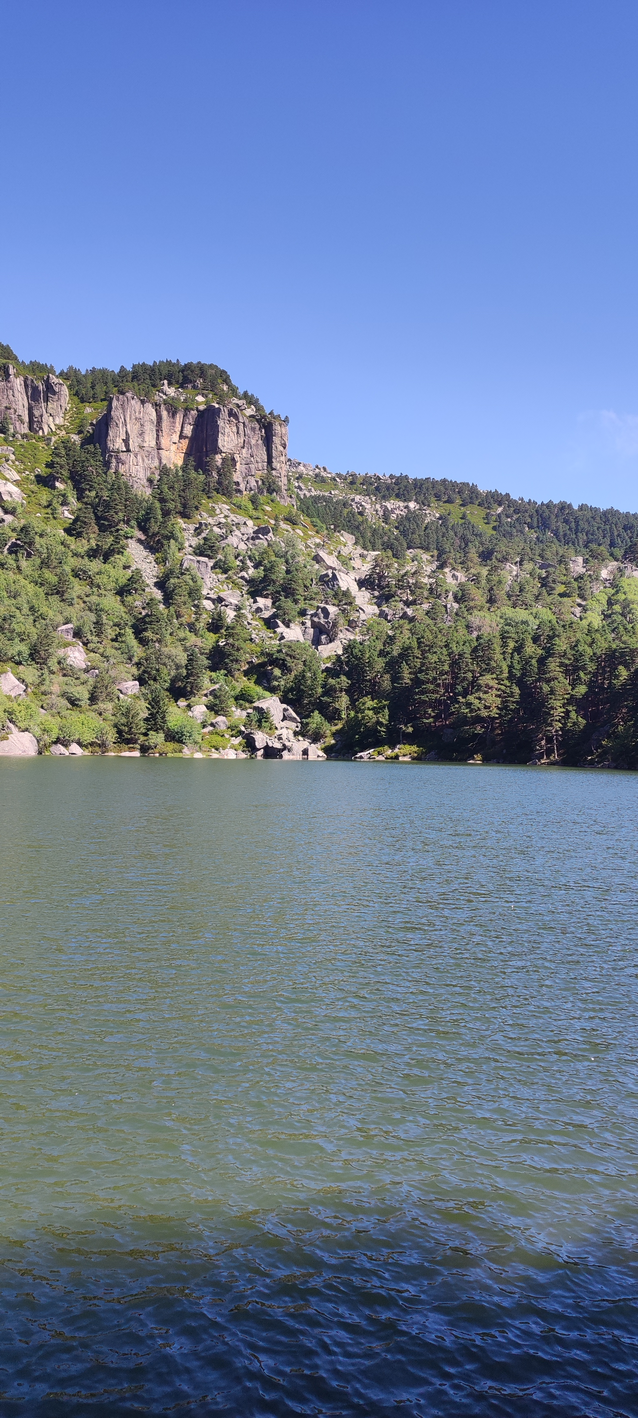 user avatar image for Aoi