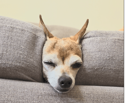 user avatar image for Dominsquez