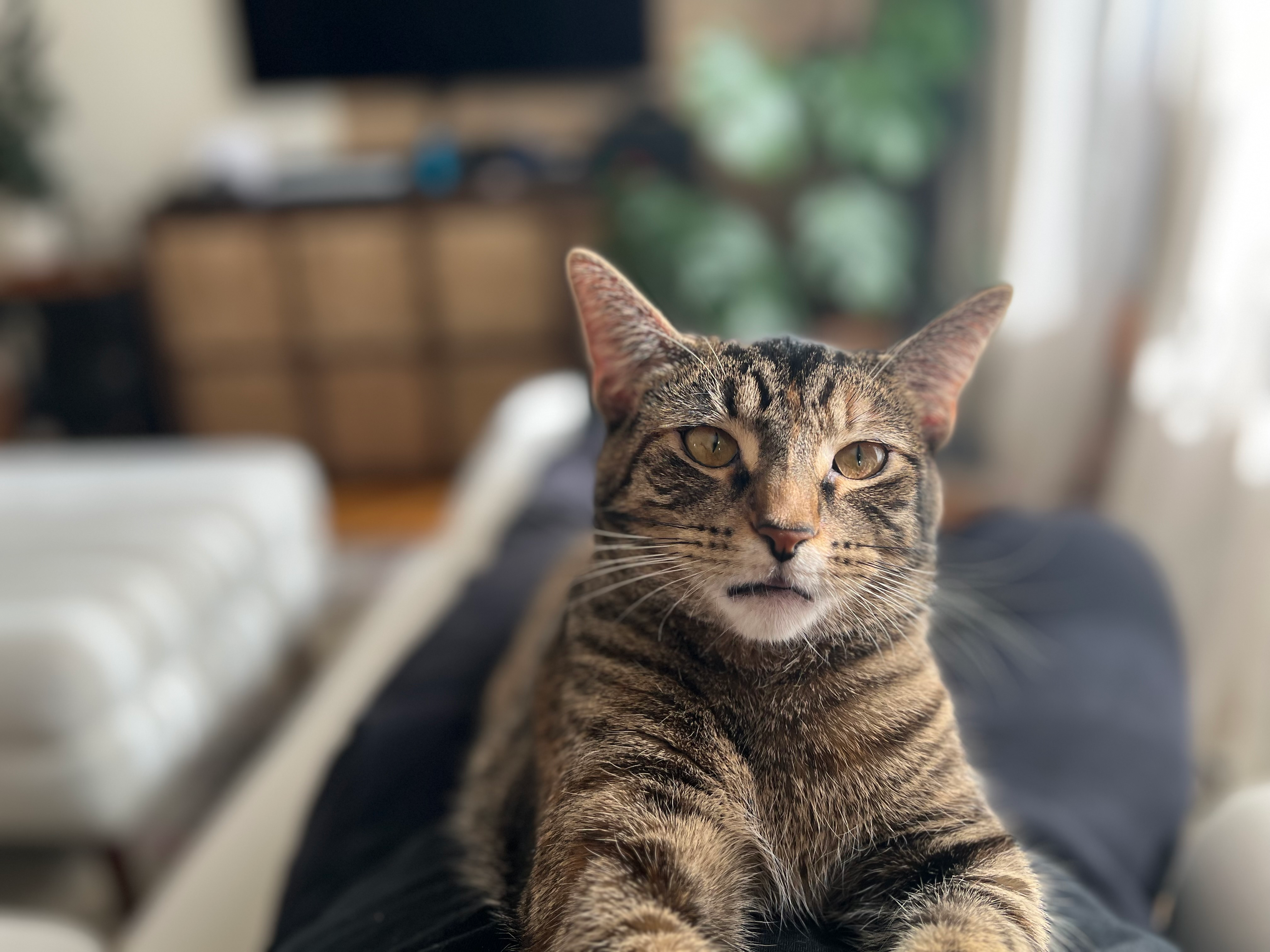 user avatar image for Hugo Herrera