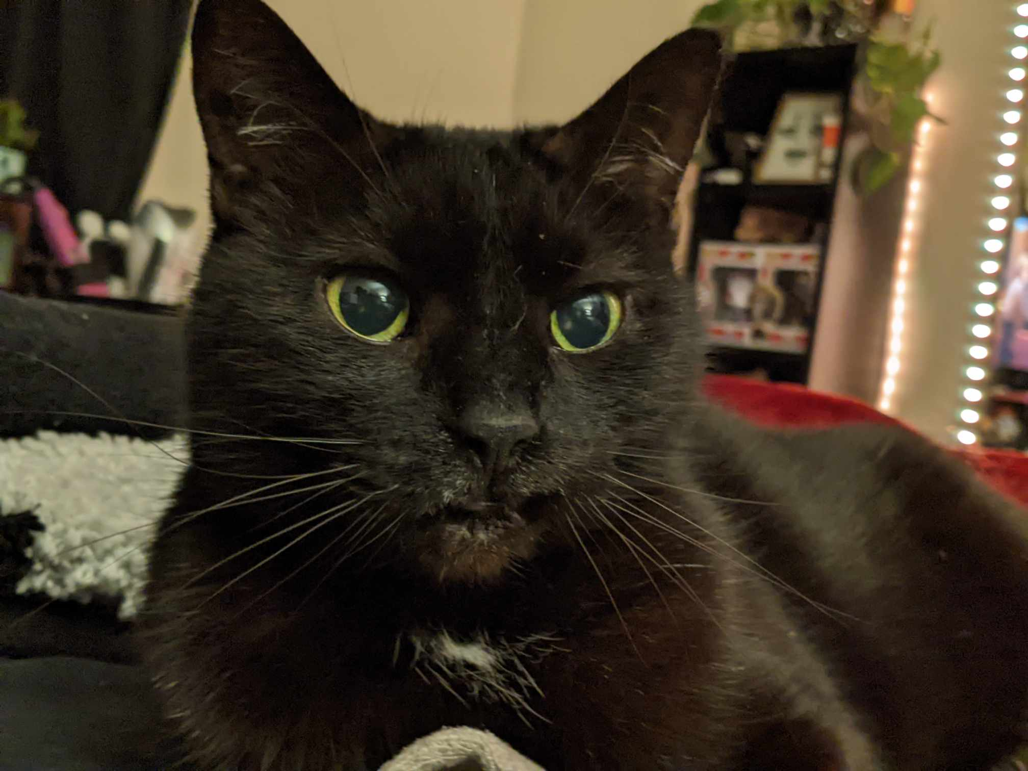 user avatar image for Jonathan Tyler