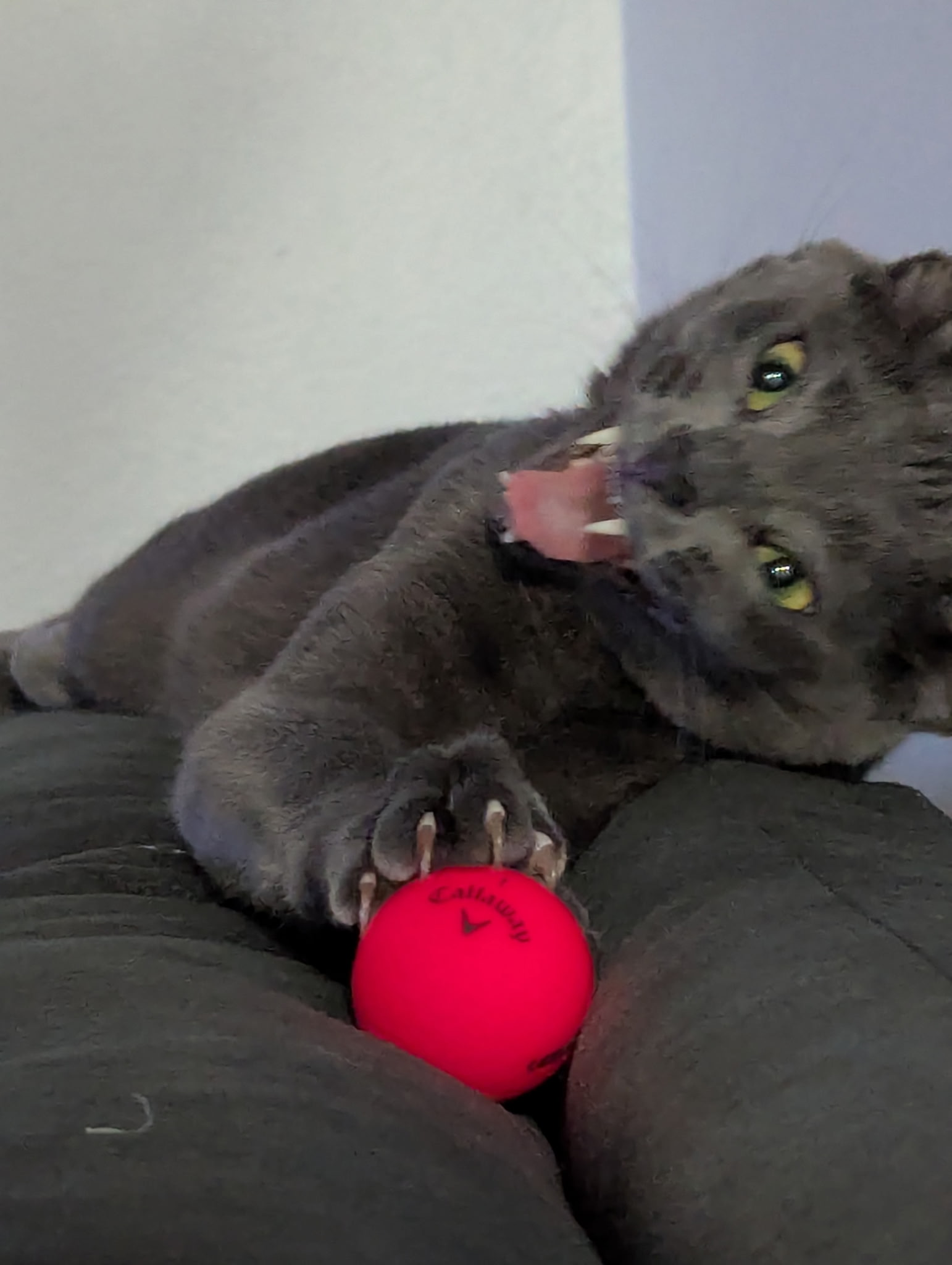 user avatar image for Jane