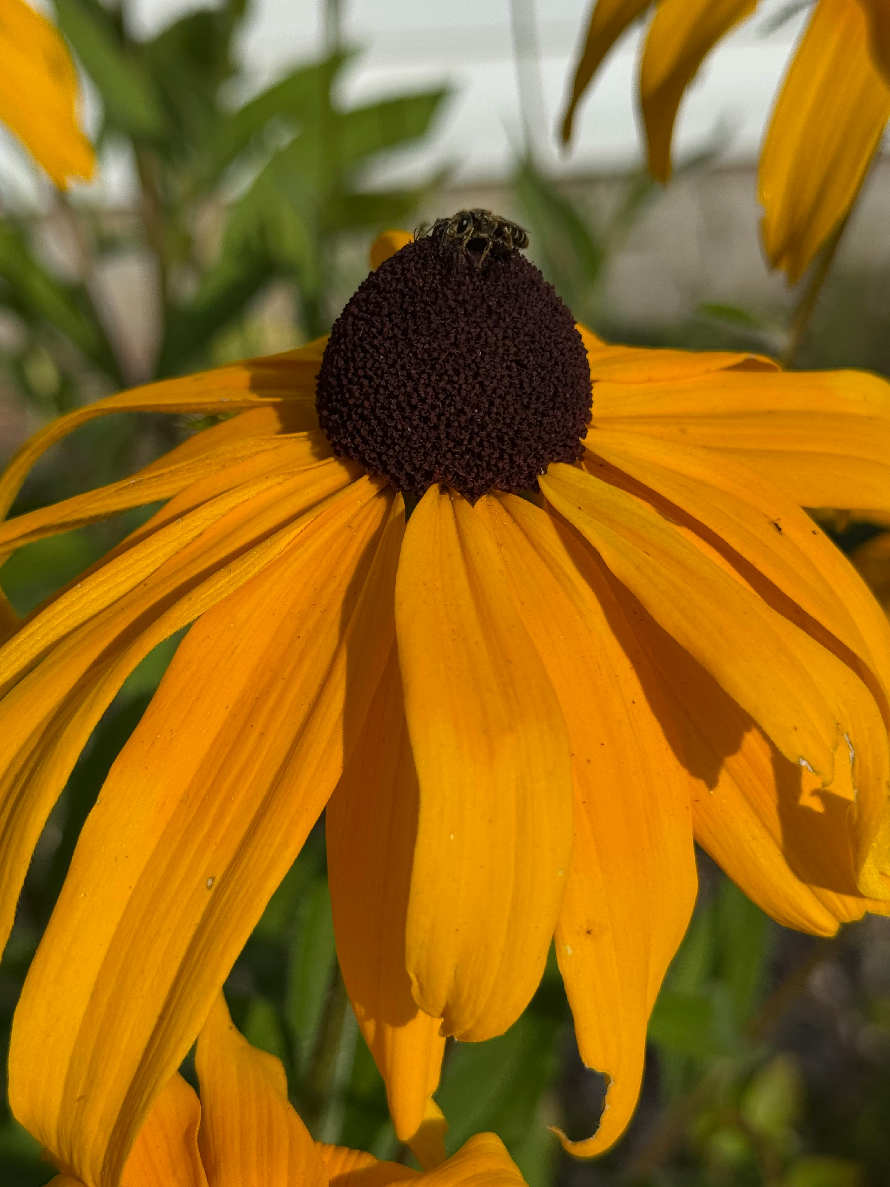 user avatar image for Briana 