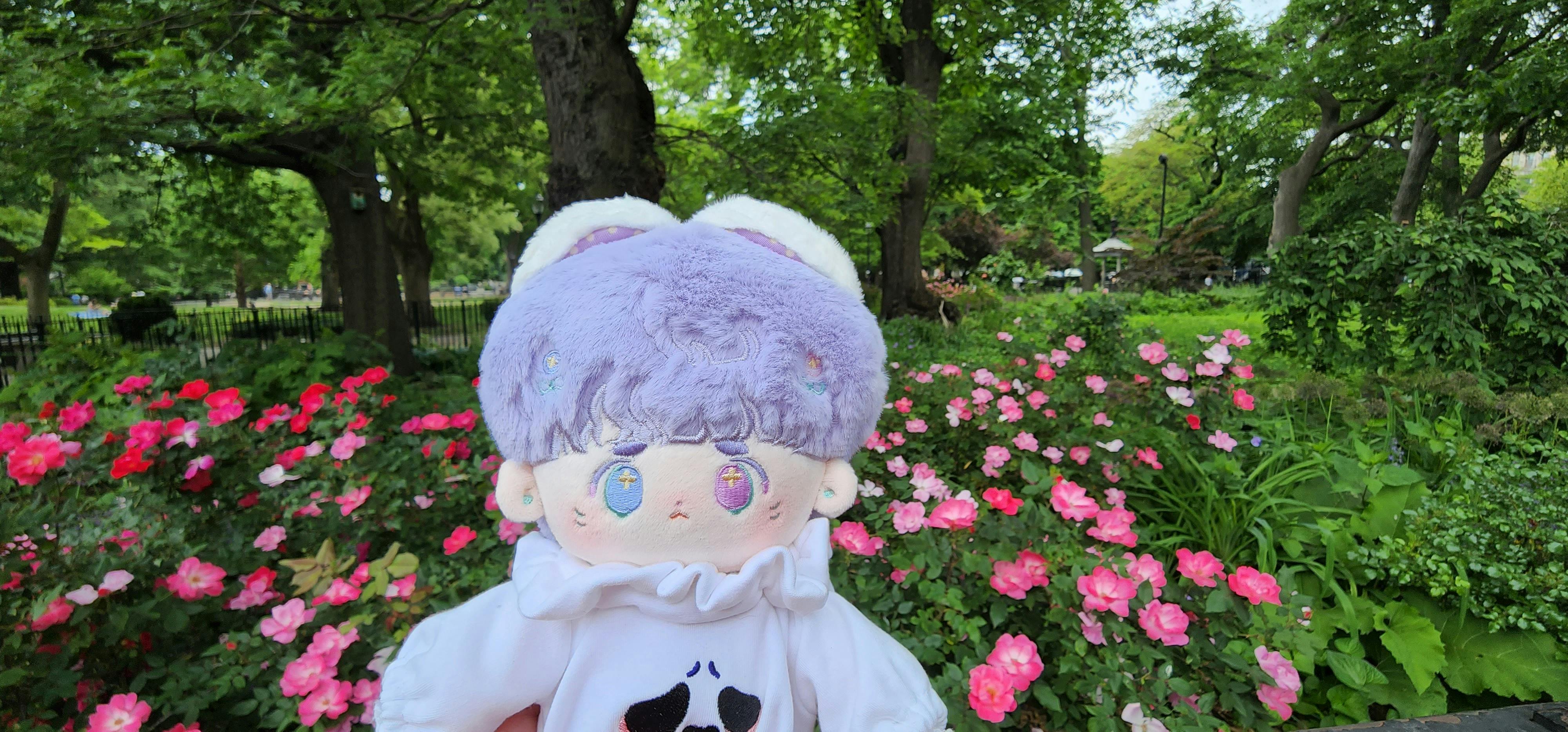 user avatar image for Periwinkle