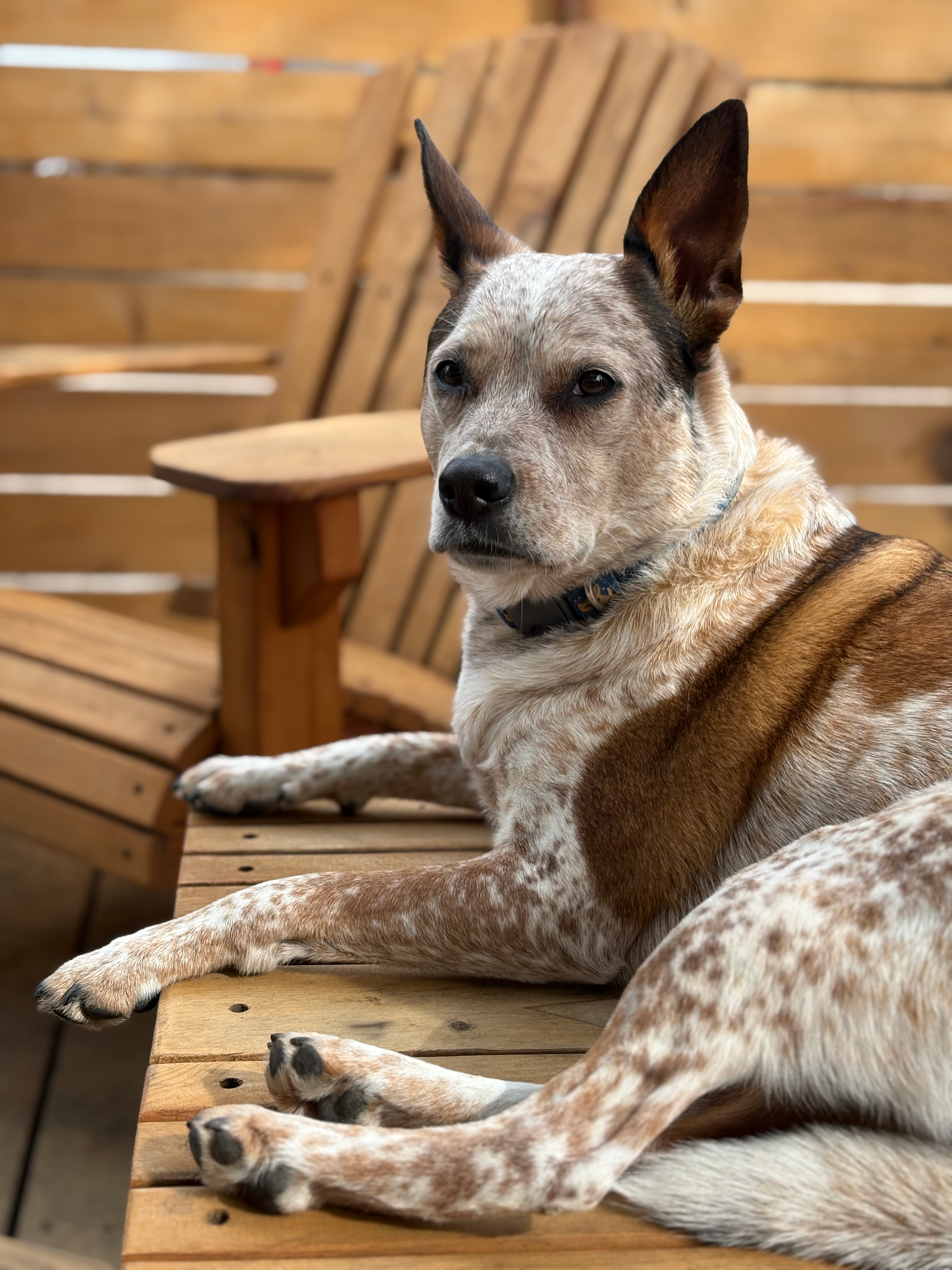 user avatar image for Robin Clemen