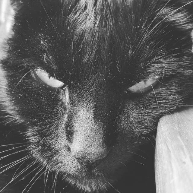 user avatar image for hildegardlex