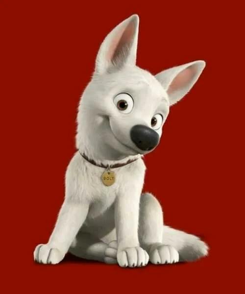 user avatar image for Felix