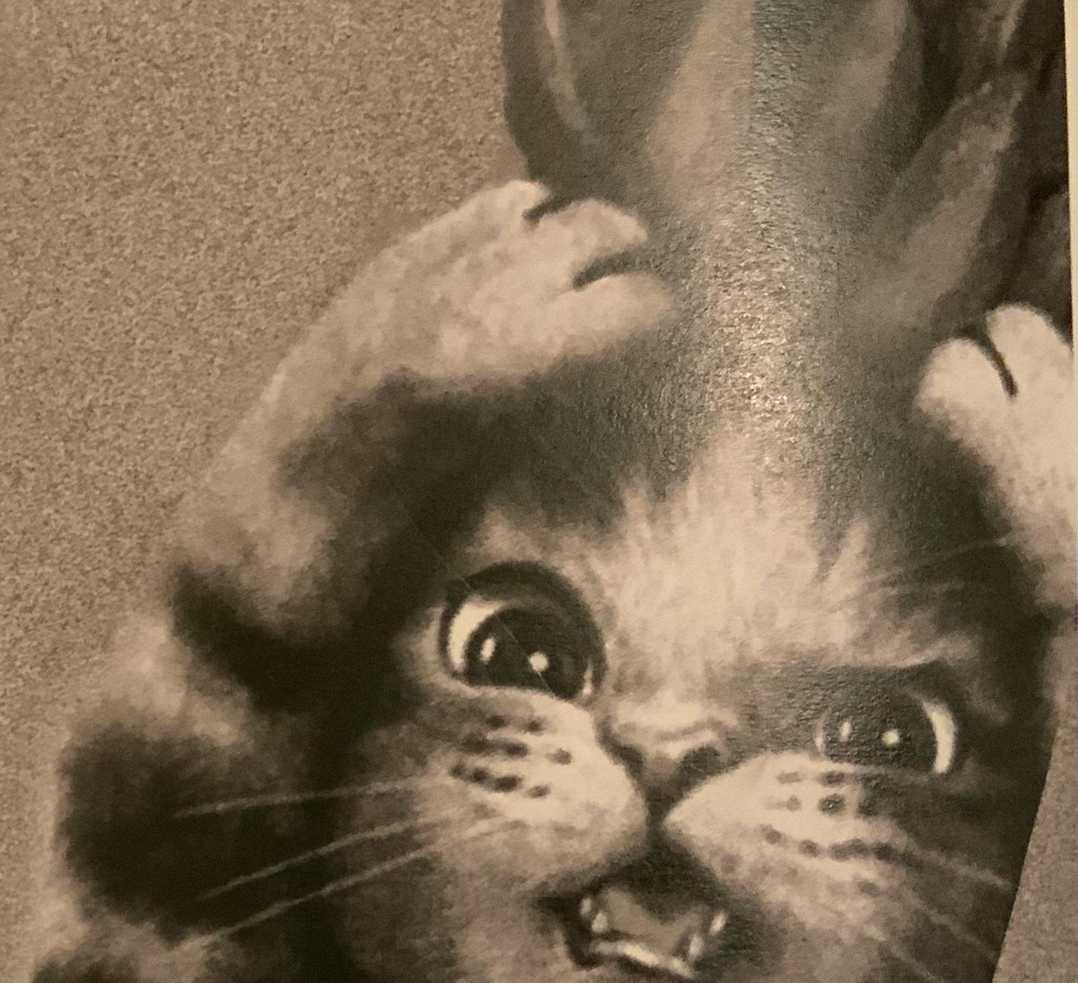 user avatar image for Mark Phillippi