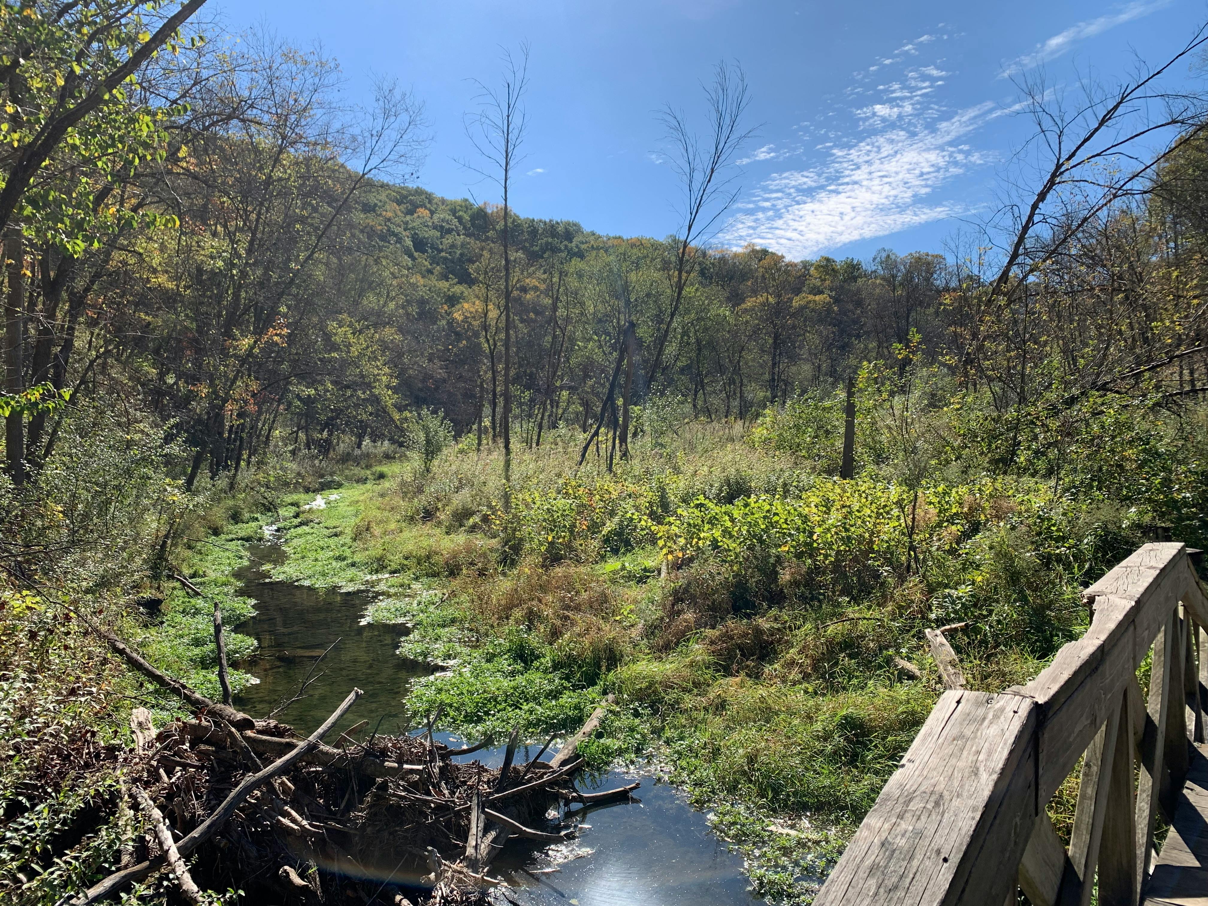 user avatar image for Kyle