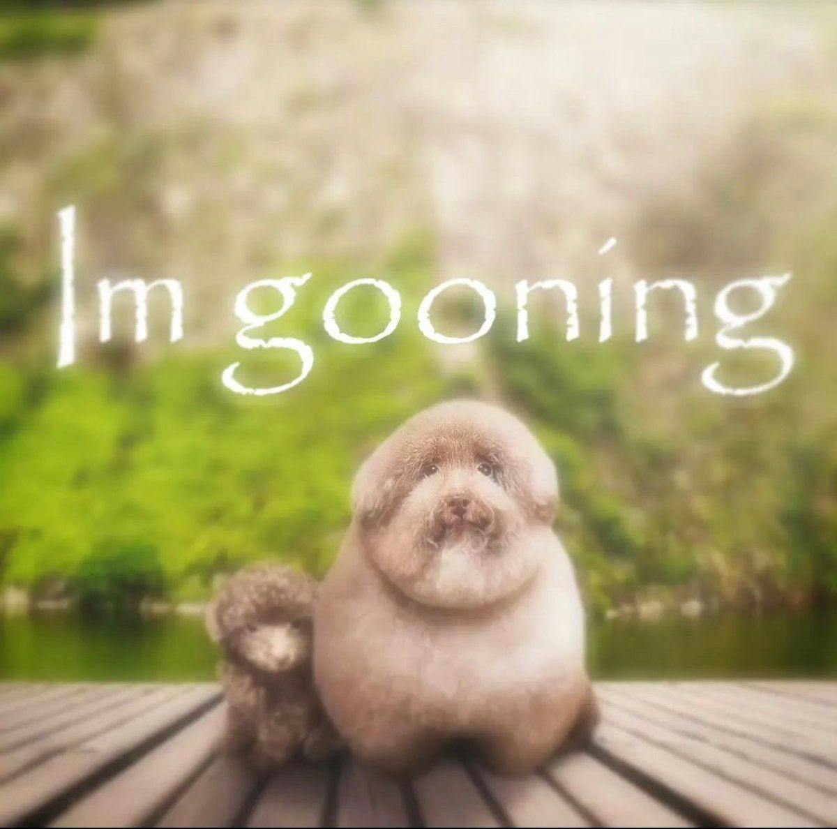 user avatar image for Unyu