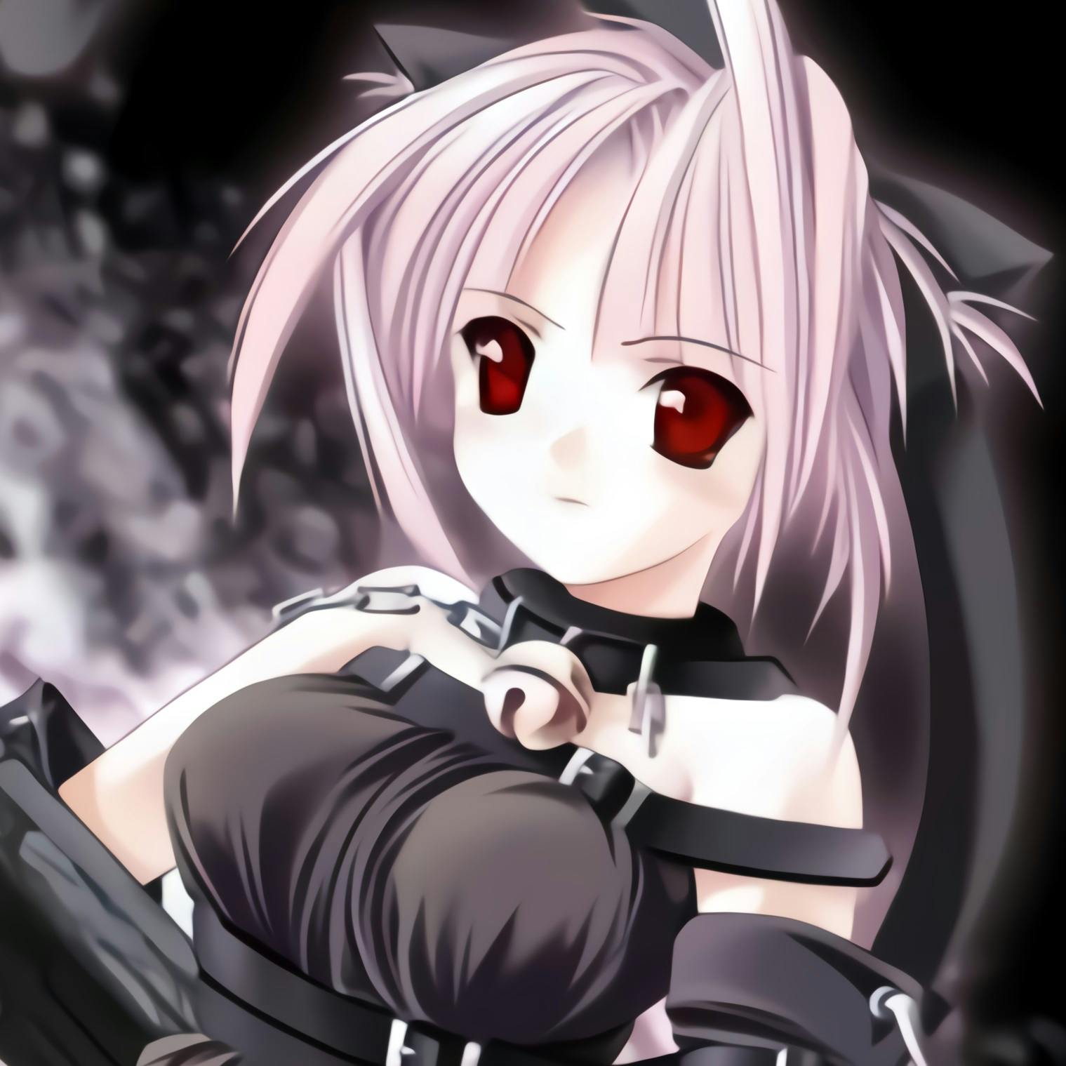 user avatar image for Lili