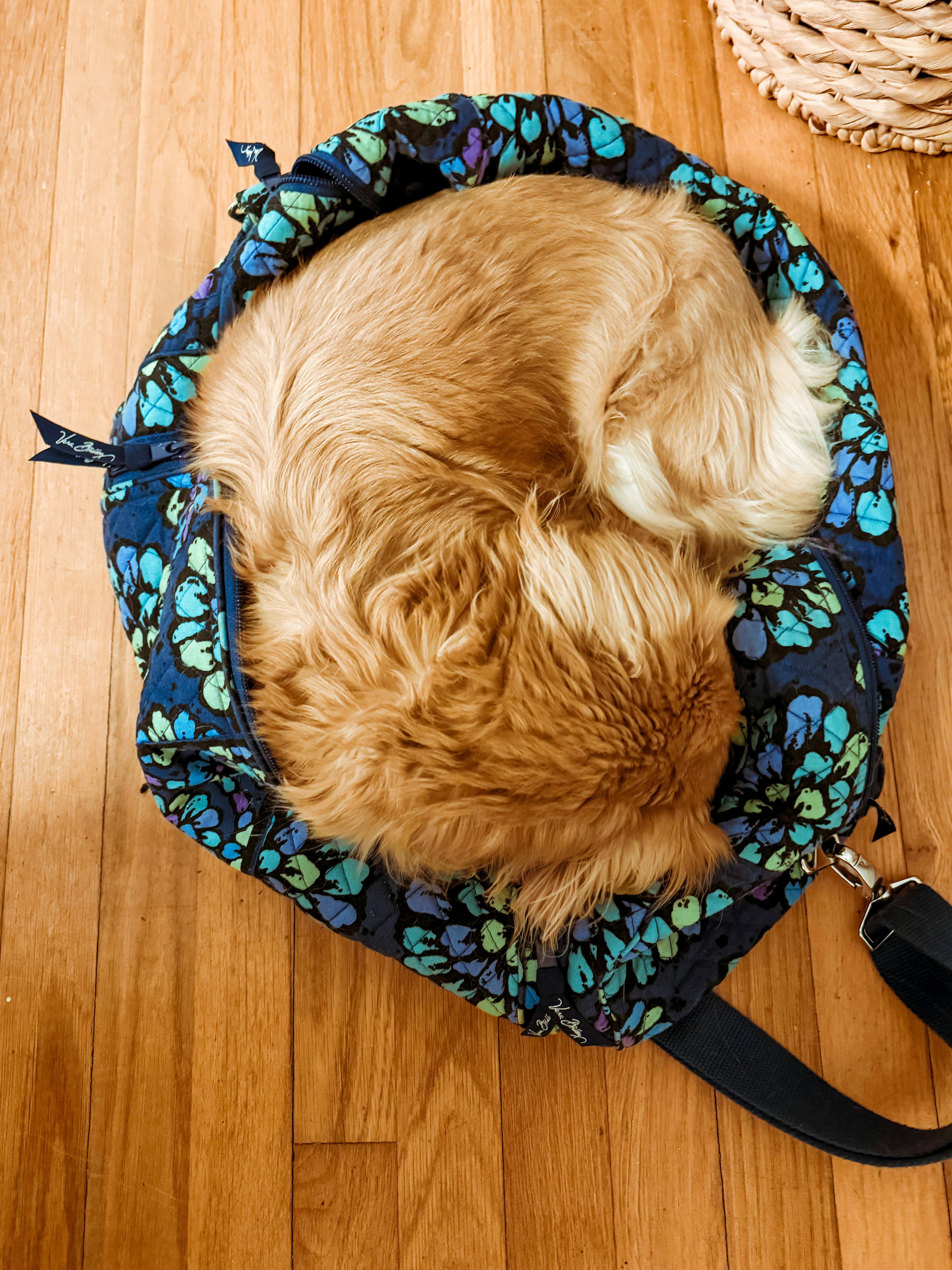 user avatar image for Mary