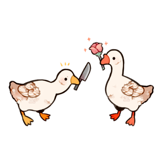 user avatar image for Hayden Lynch