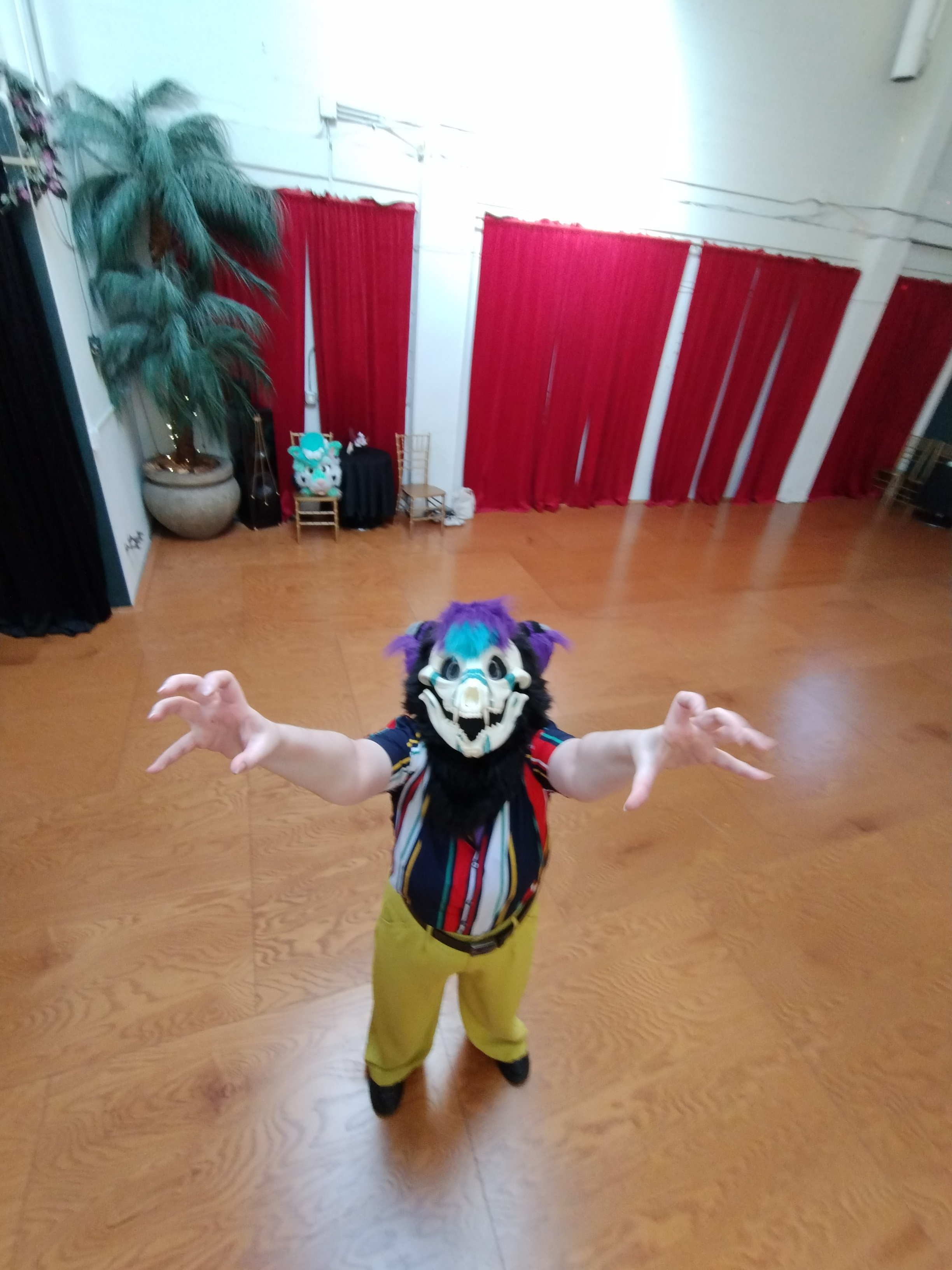 user avatar image for Duma