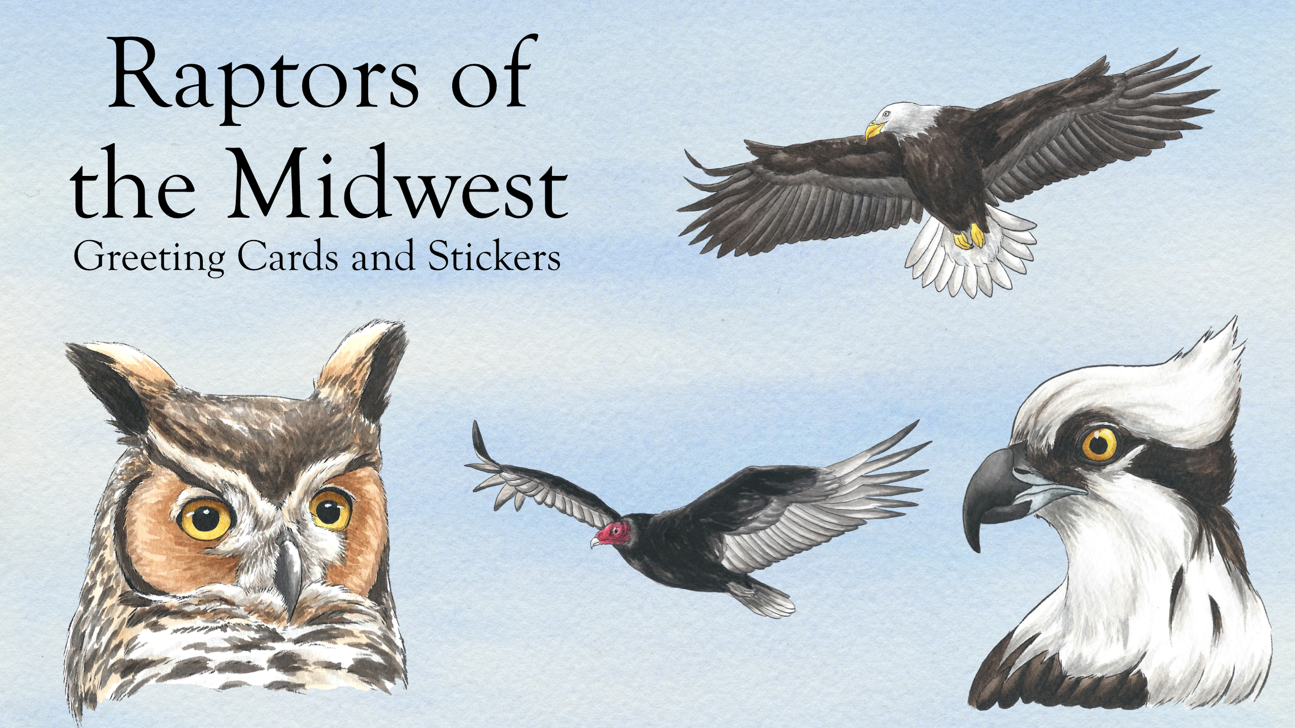 Raptors of the Midwest: Greeting Cards and Stickers