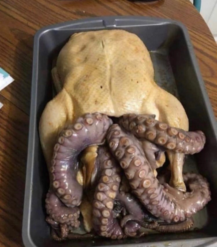 user avatar image for xJerko