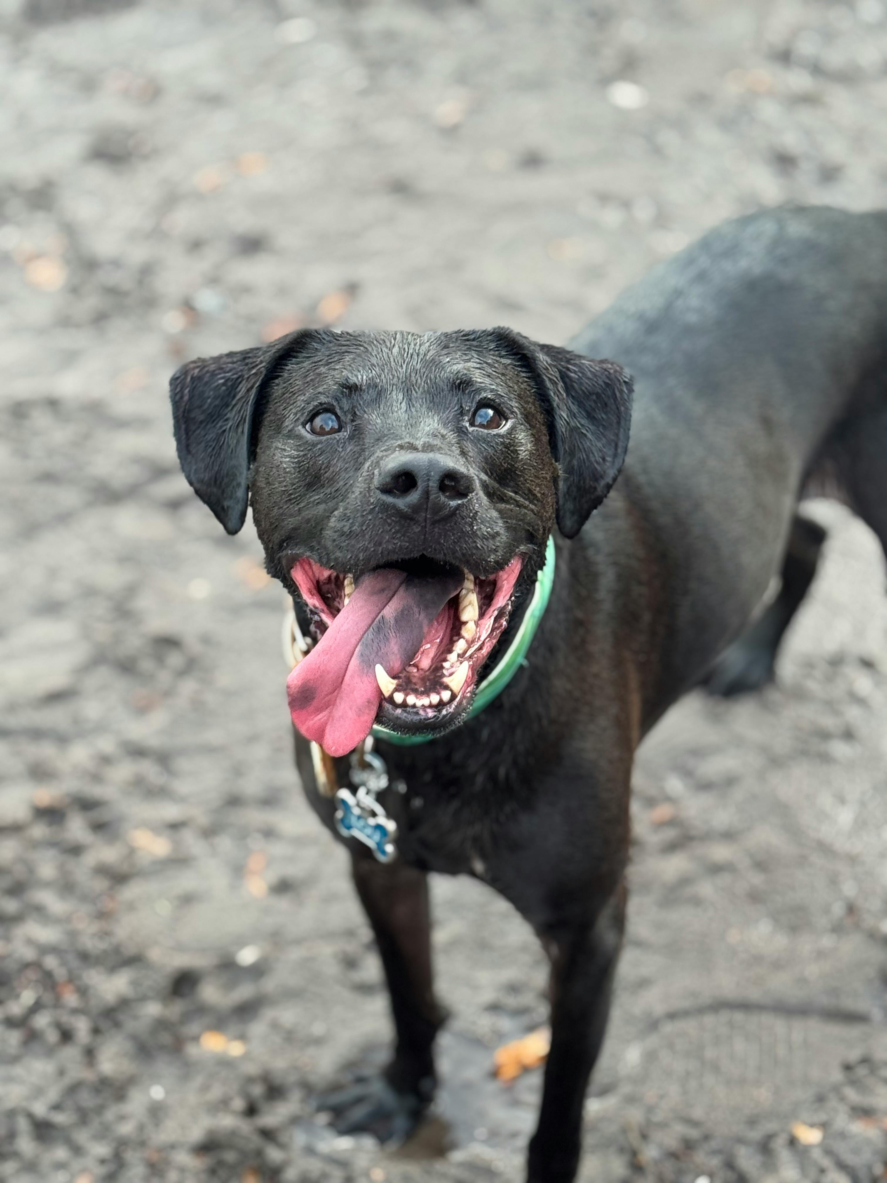 user avatar image for Flamanda