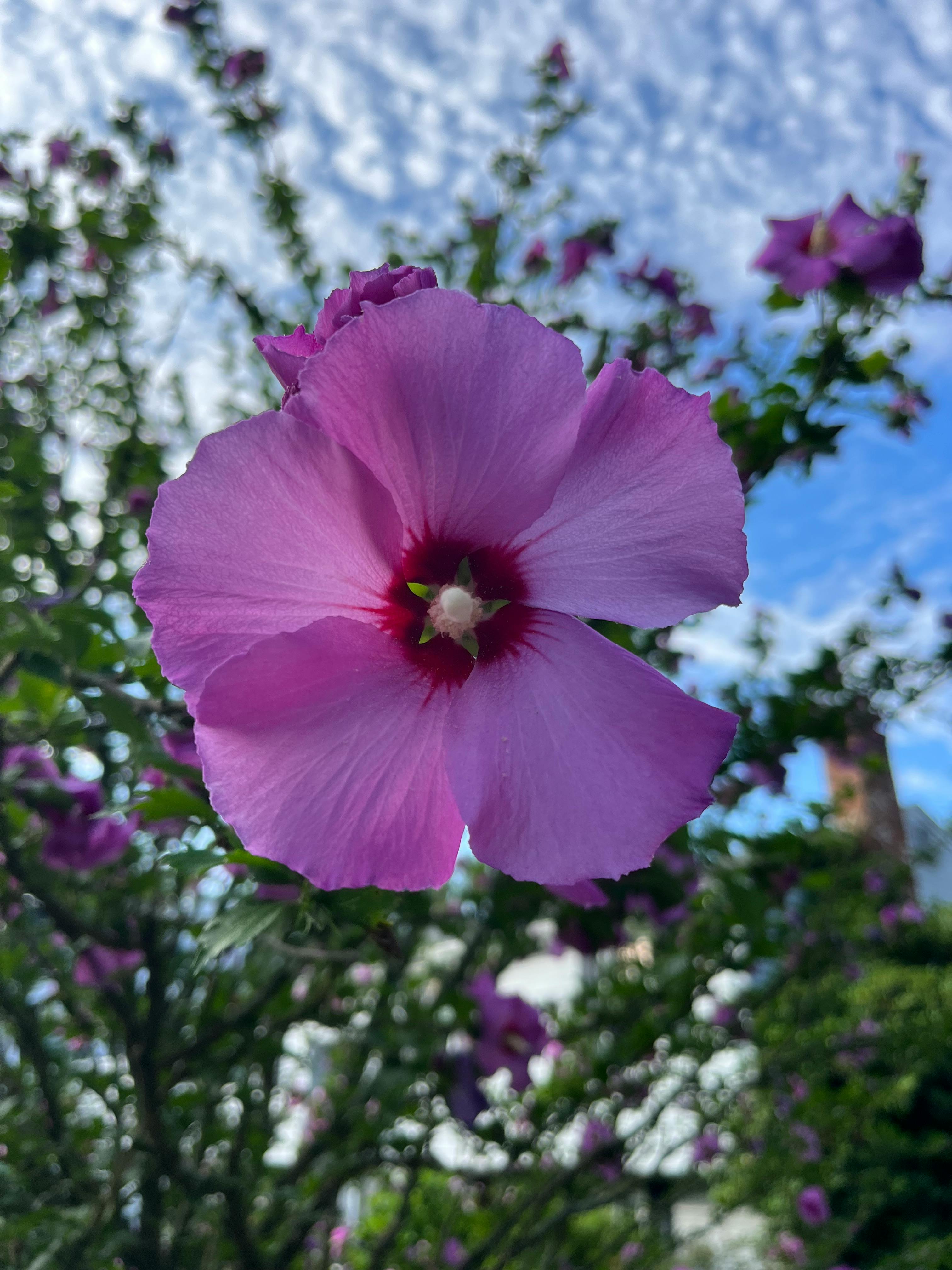 user avatar image for Erik J. Meyer-Curley